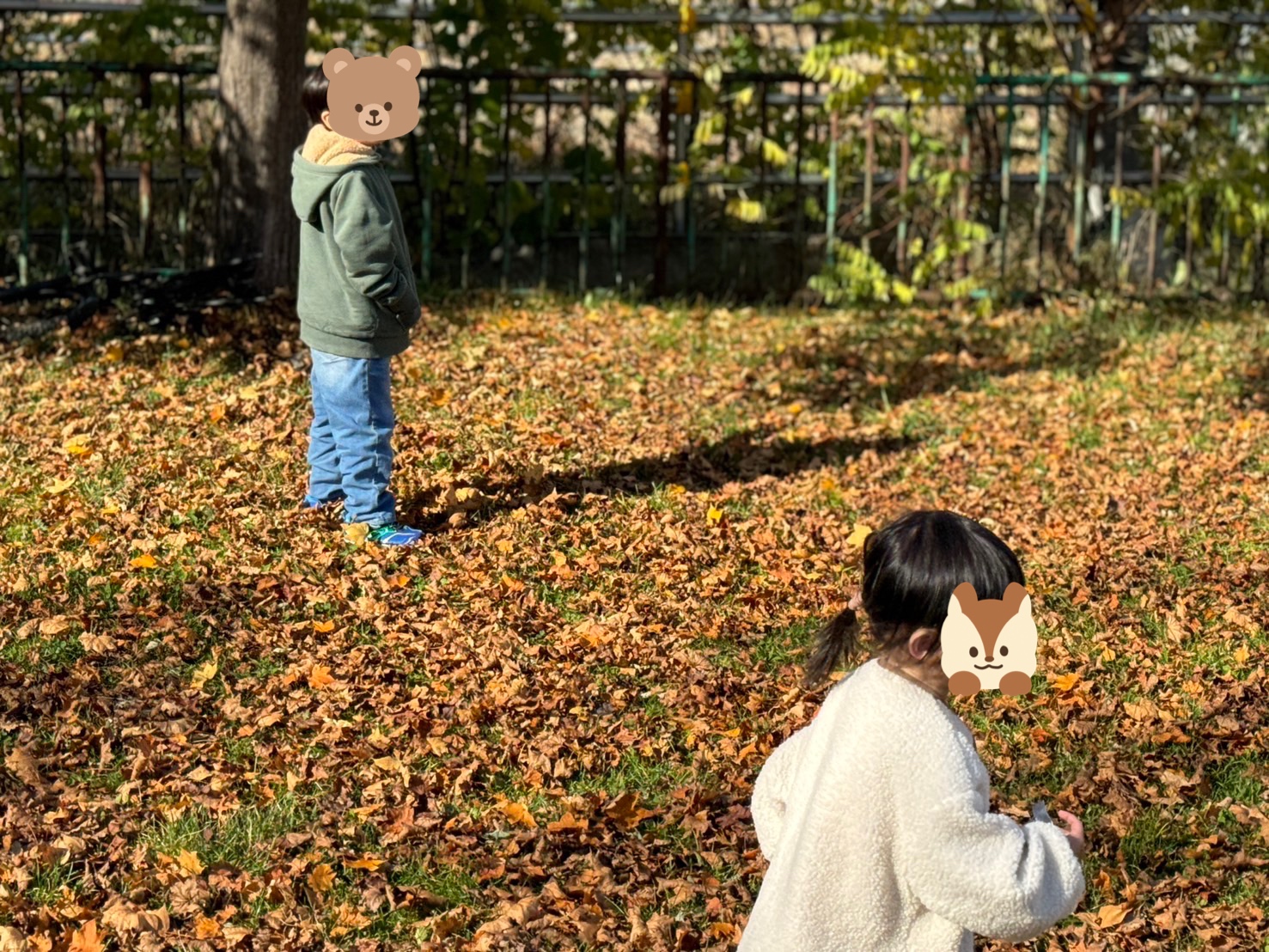 冬が近づいていますね⛄