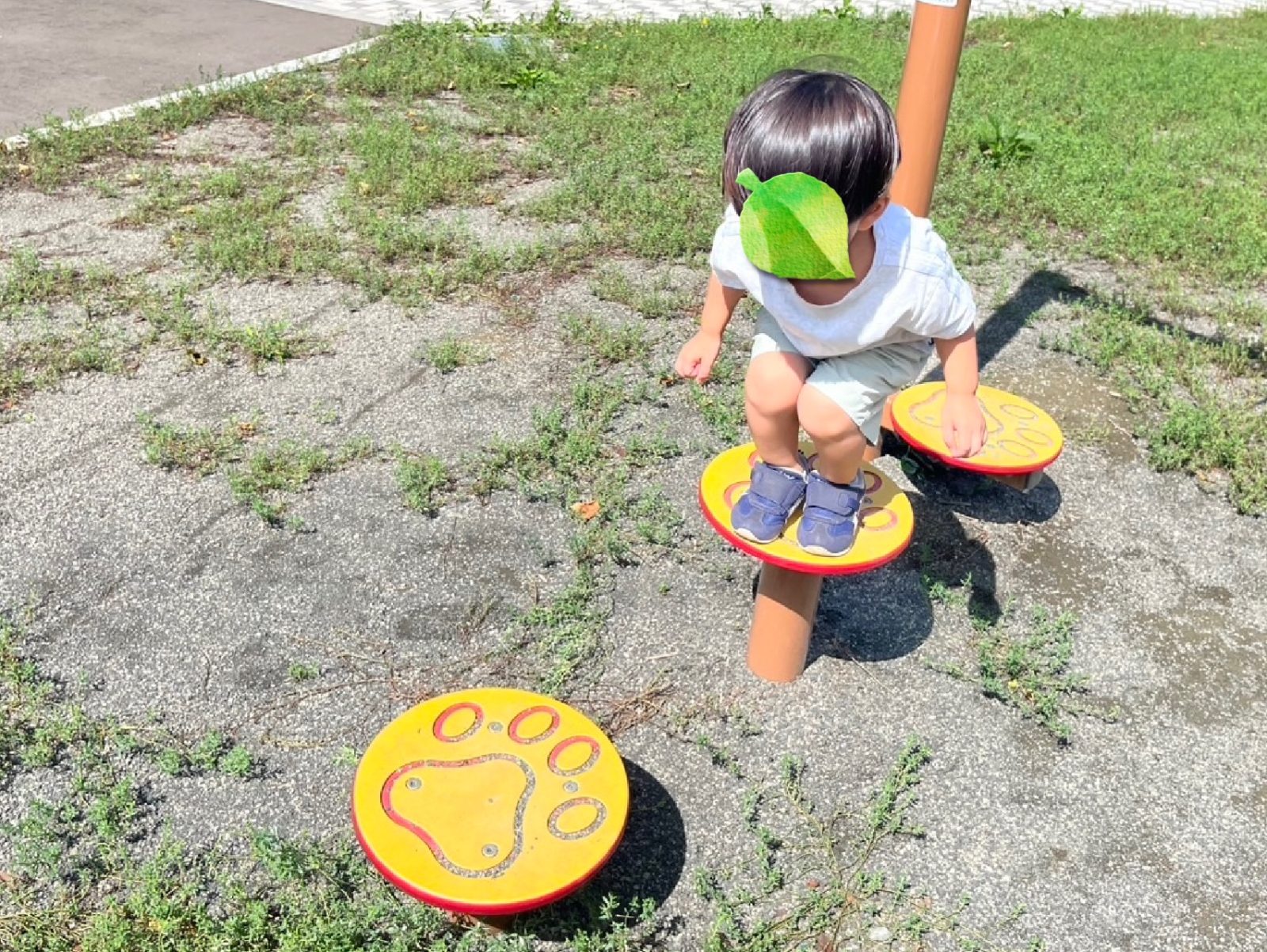 今週の前半🌈１日～３日