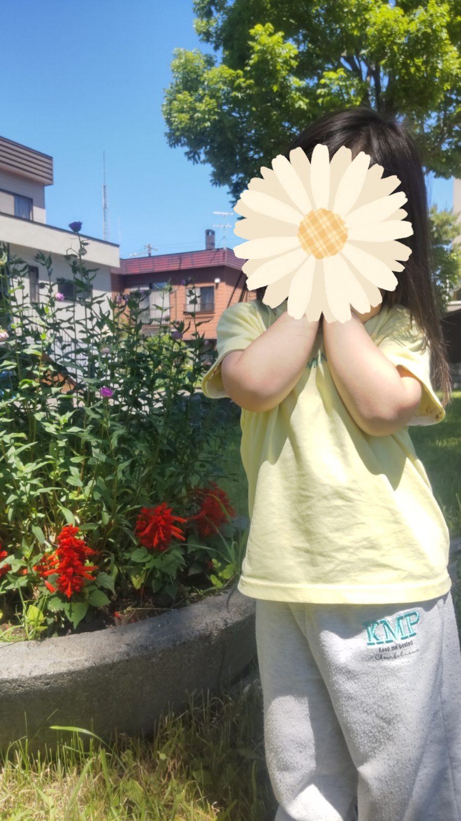 前半🌈15日~17日
