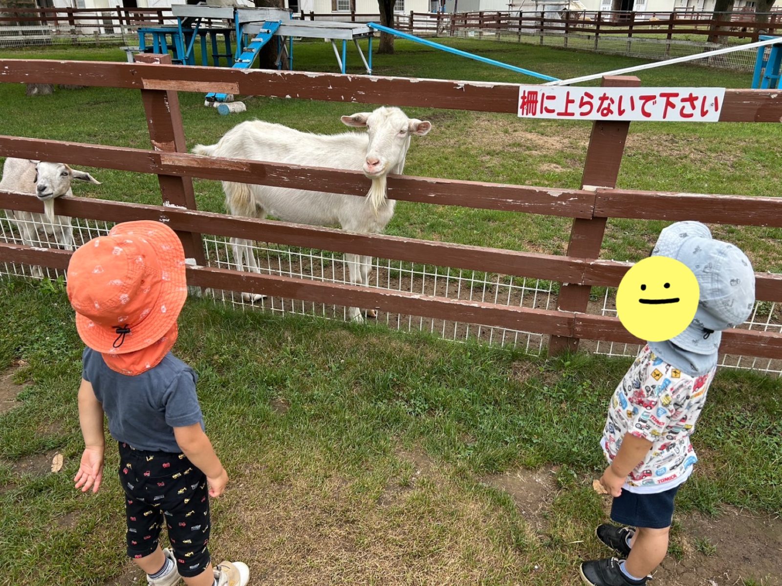 今週の前半🌈28日～30日