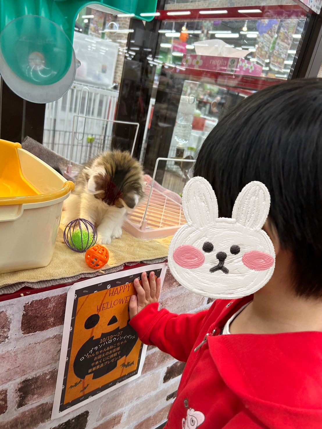 気分いろいろ・・・＆ハロウィンカード作り😀