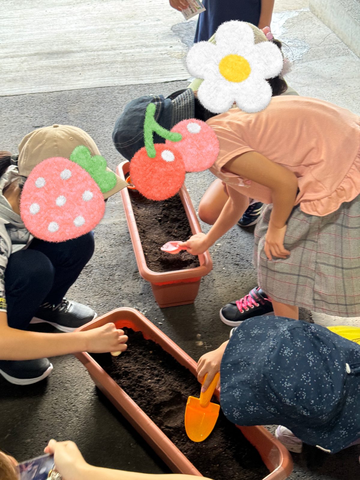 カウホラ農園日記②