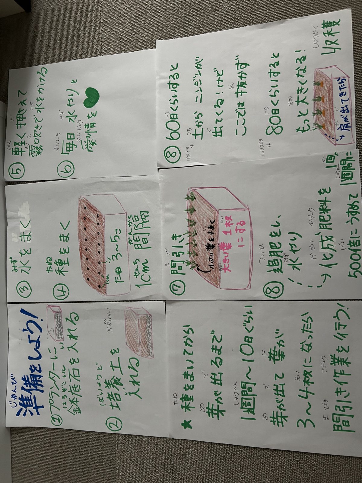 カウホラ農園日記②