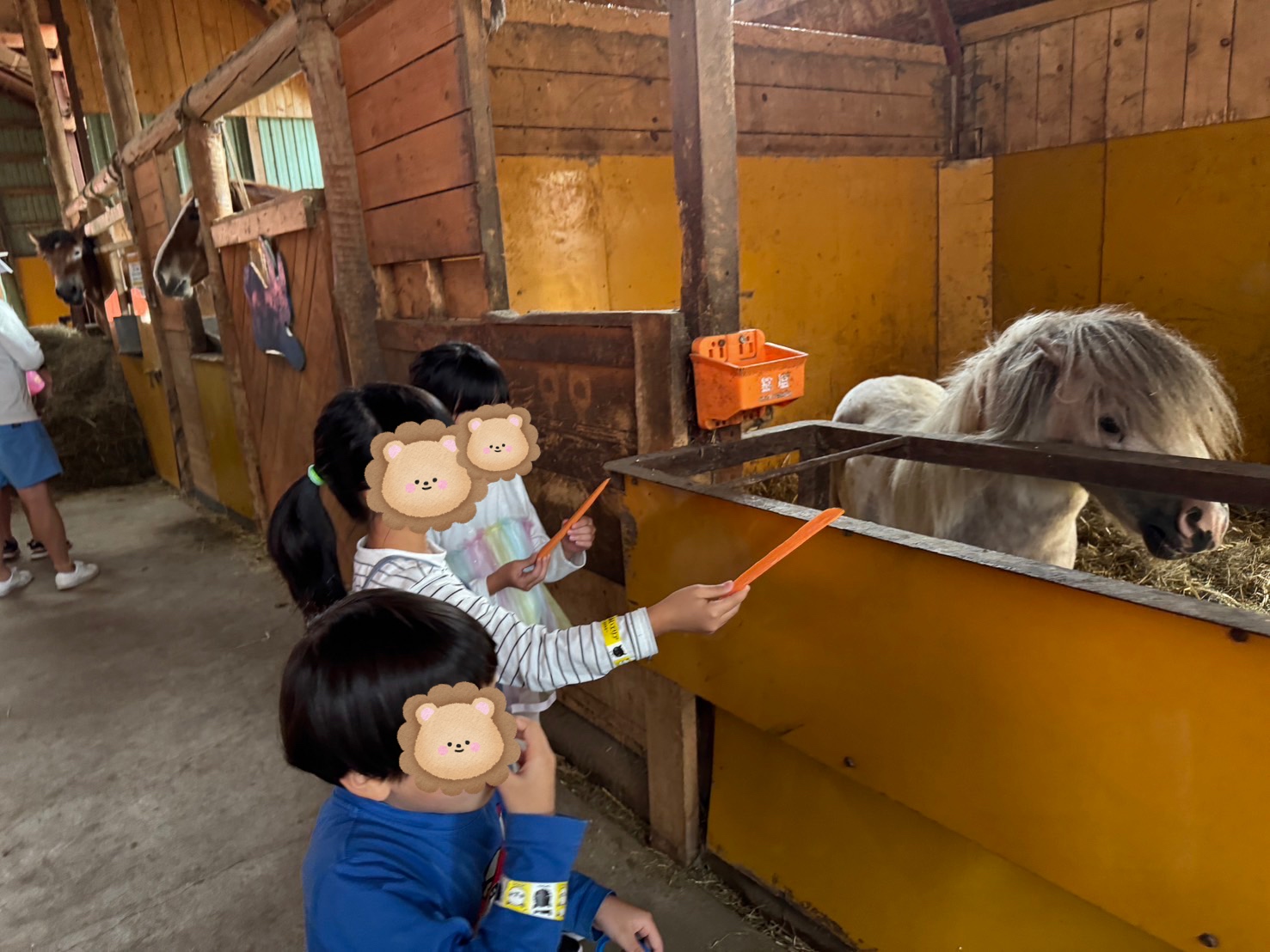 角山農場アースドリーム🐎