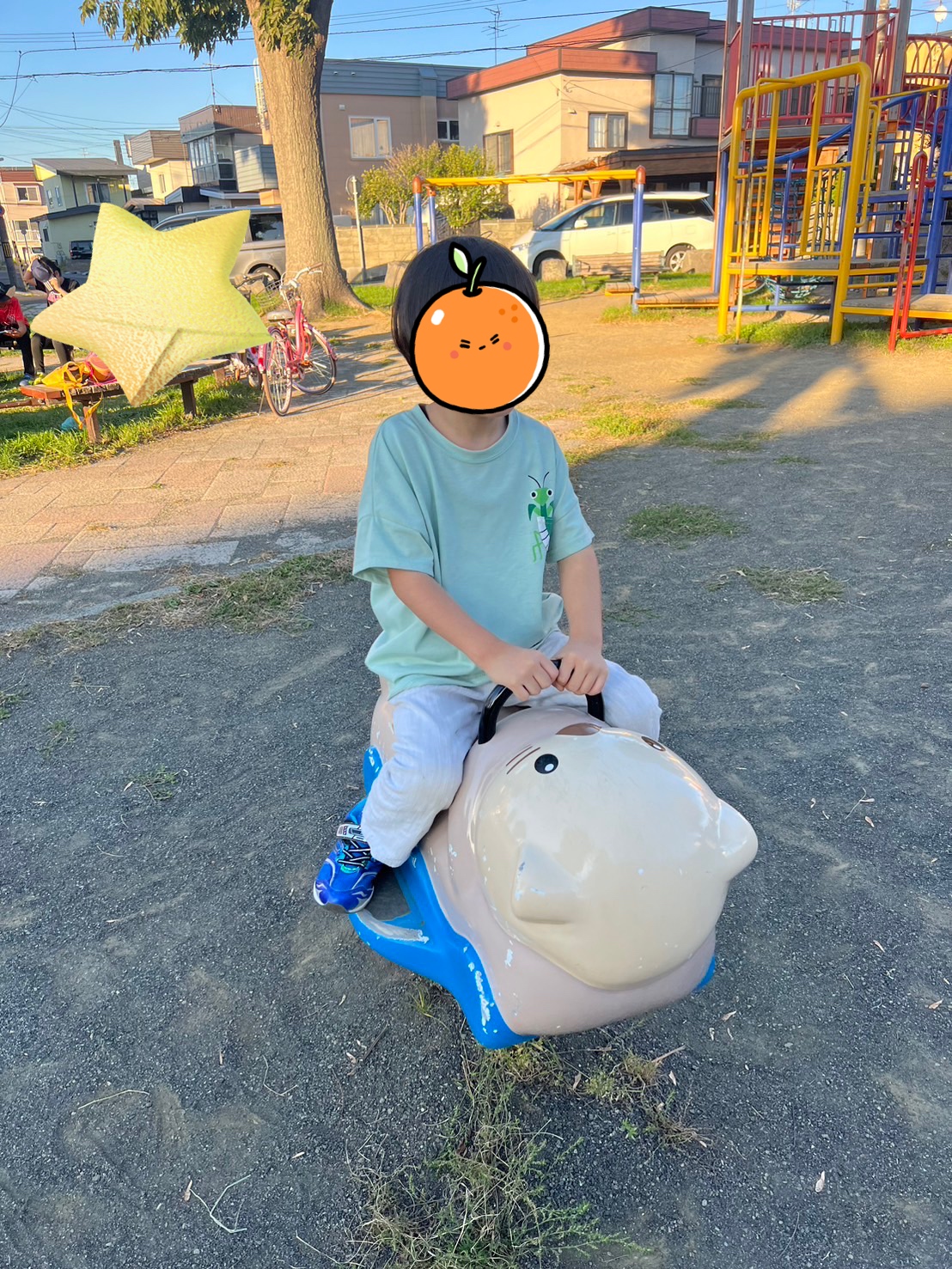 すっかり秋になりました🍂