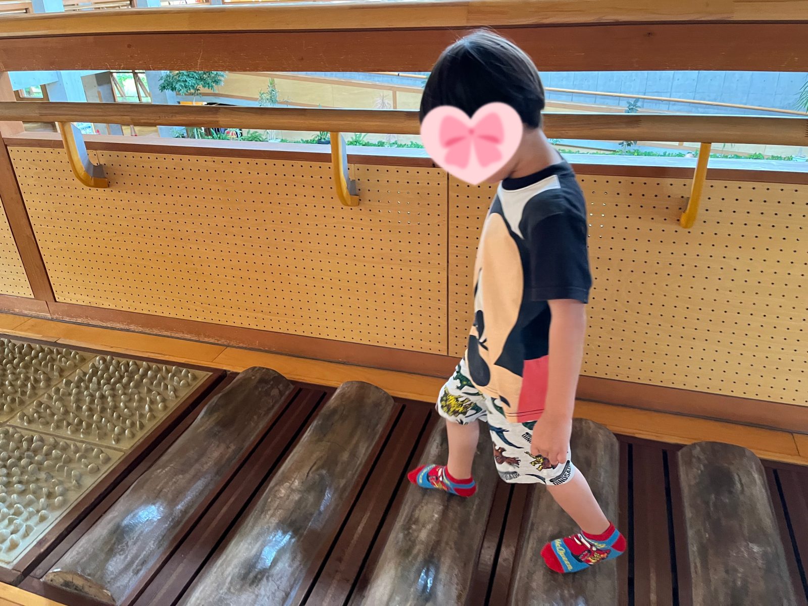 カウホラに新しいお友だちが来てくれました😆