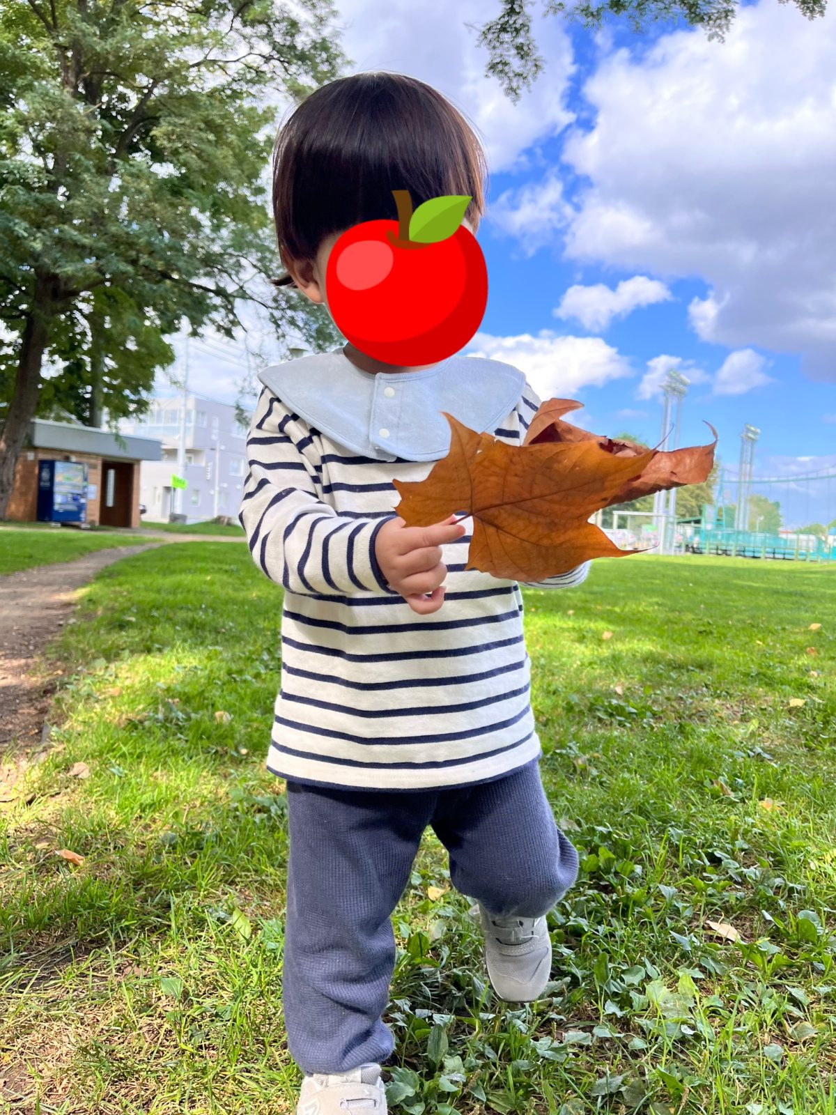 10月が始まりました🍁