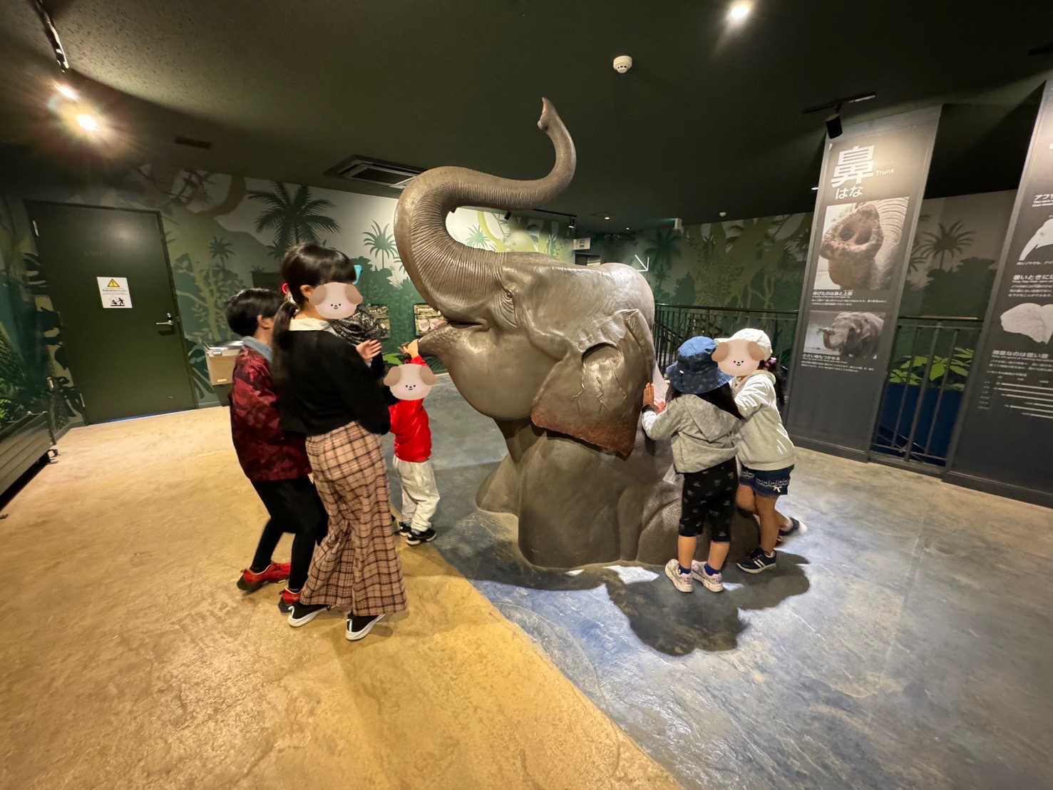 円山動物園にいってきたよ🐘