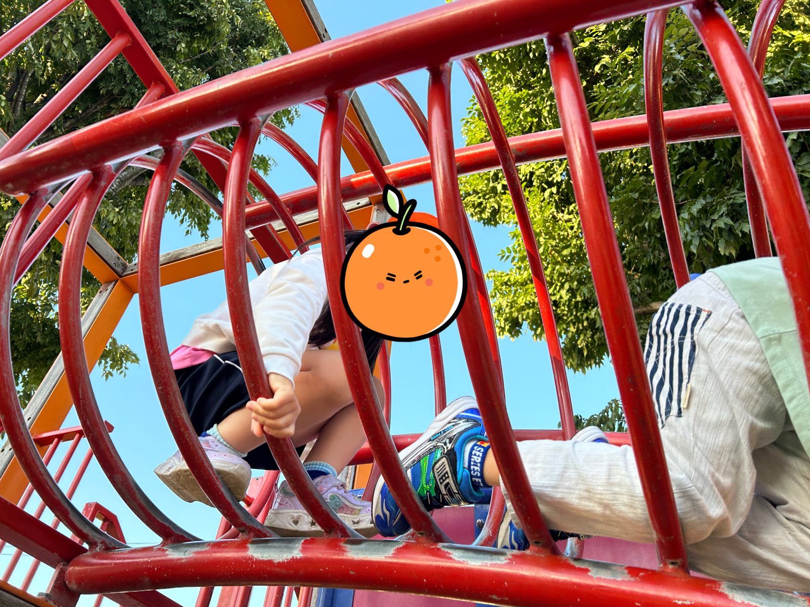 すっかり秋になりました🍂