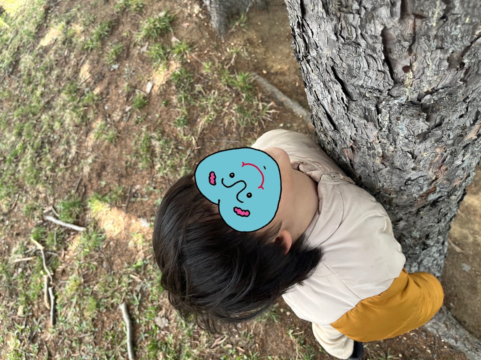 ๅๅ๐6ๆฅ๏ฝ8ๆฅ