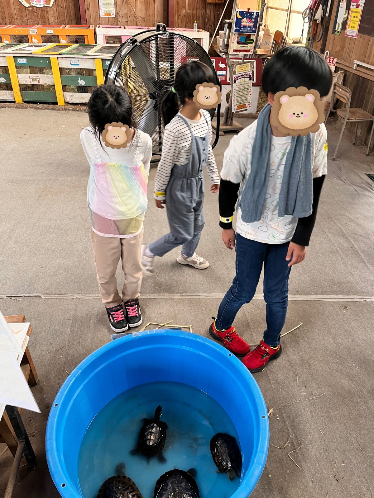 角山農場アースドリーム🐎