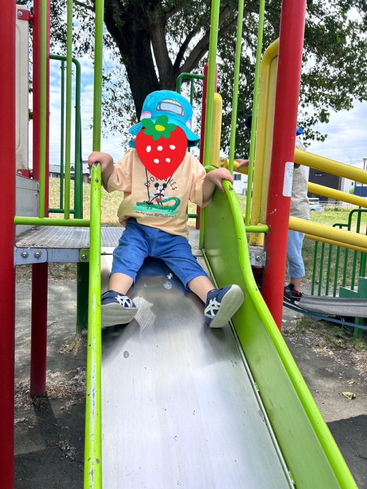 公園!のいちにち