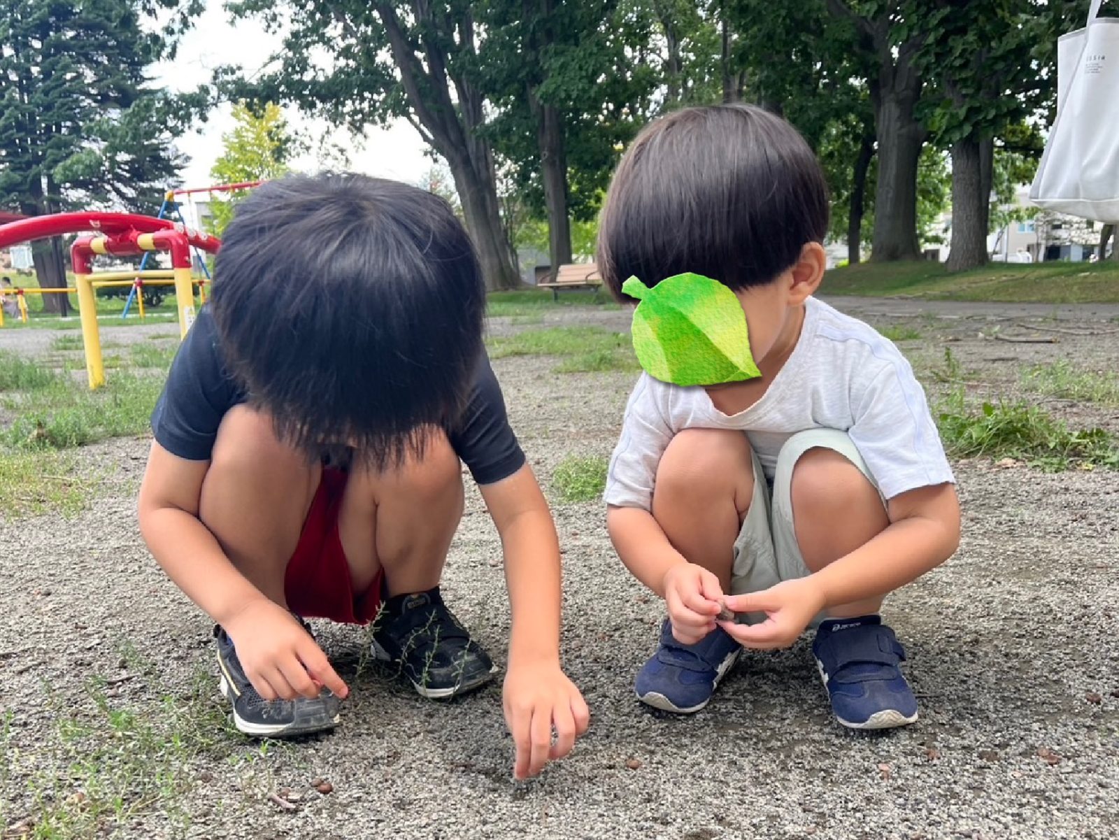 今週の前半🌈１日～３日