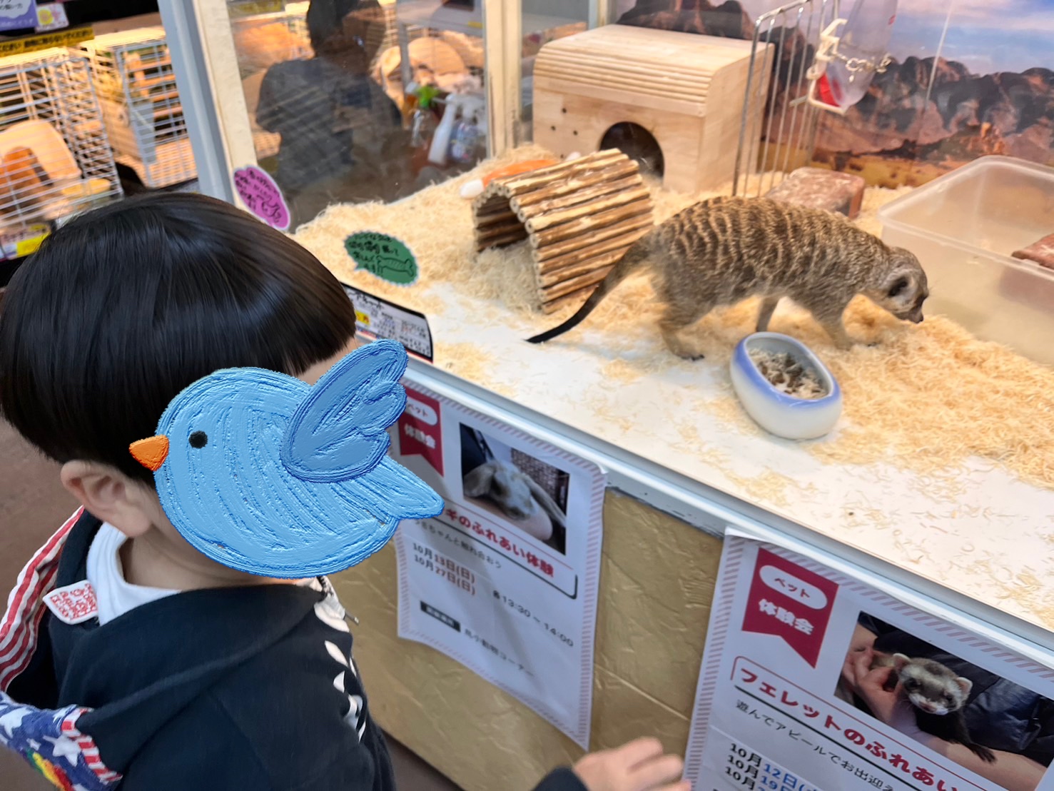 気分いろいろ・・・＆ハロウィンカード作り😀
