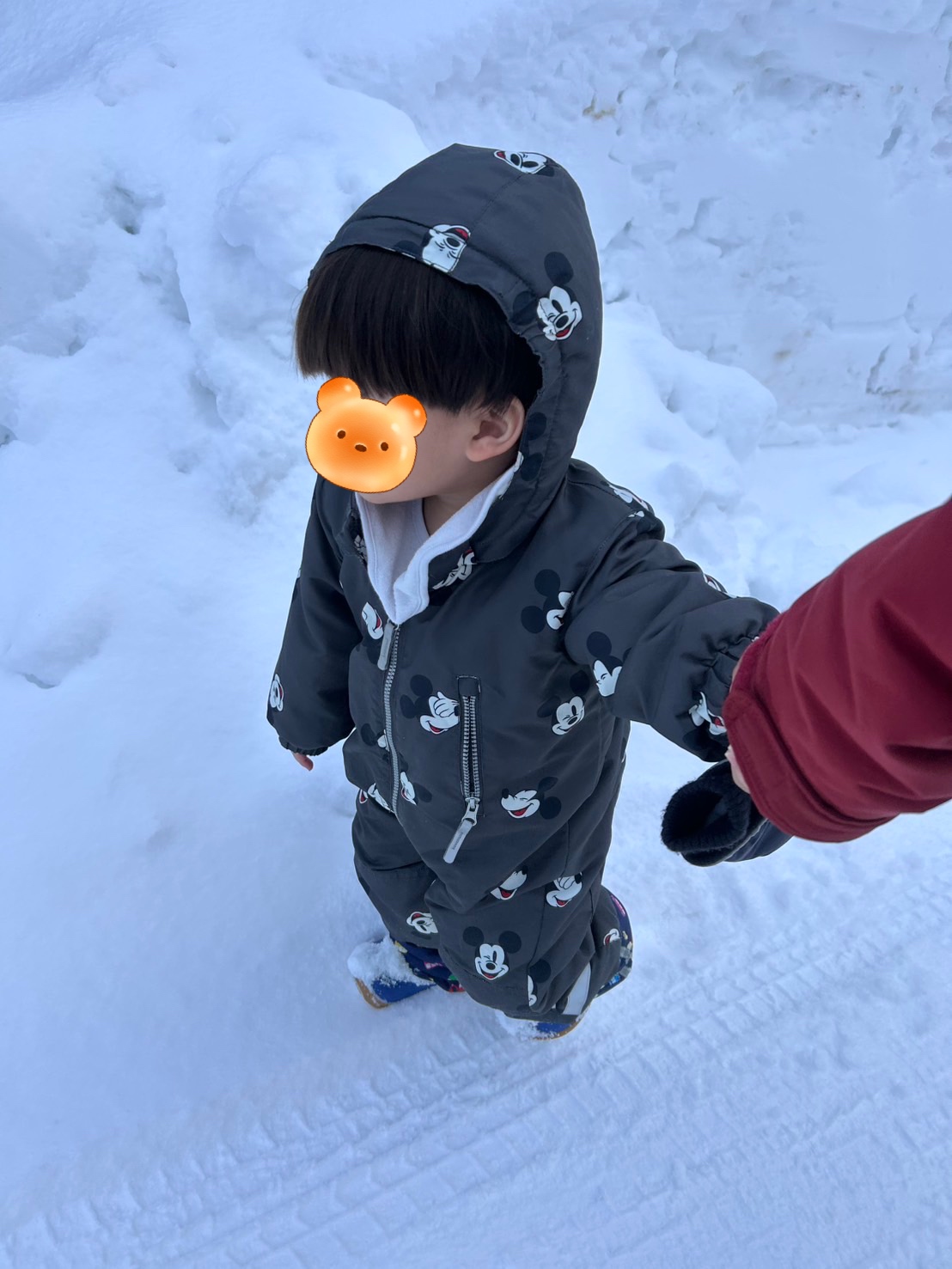 関連画像