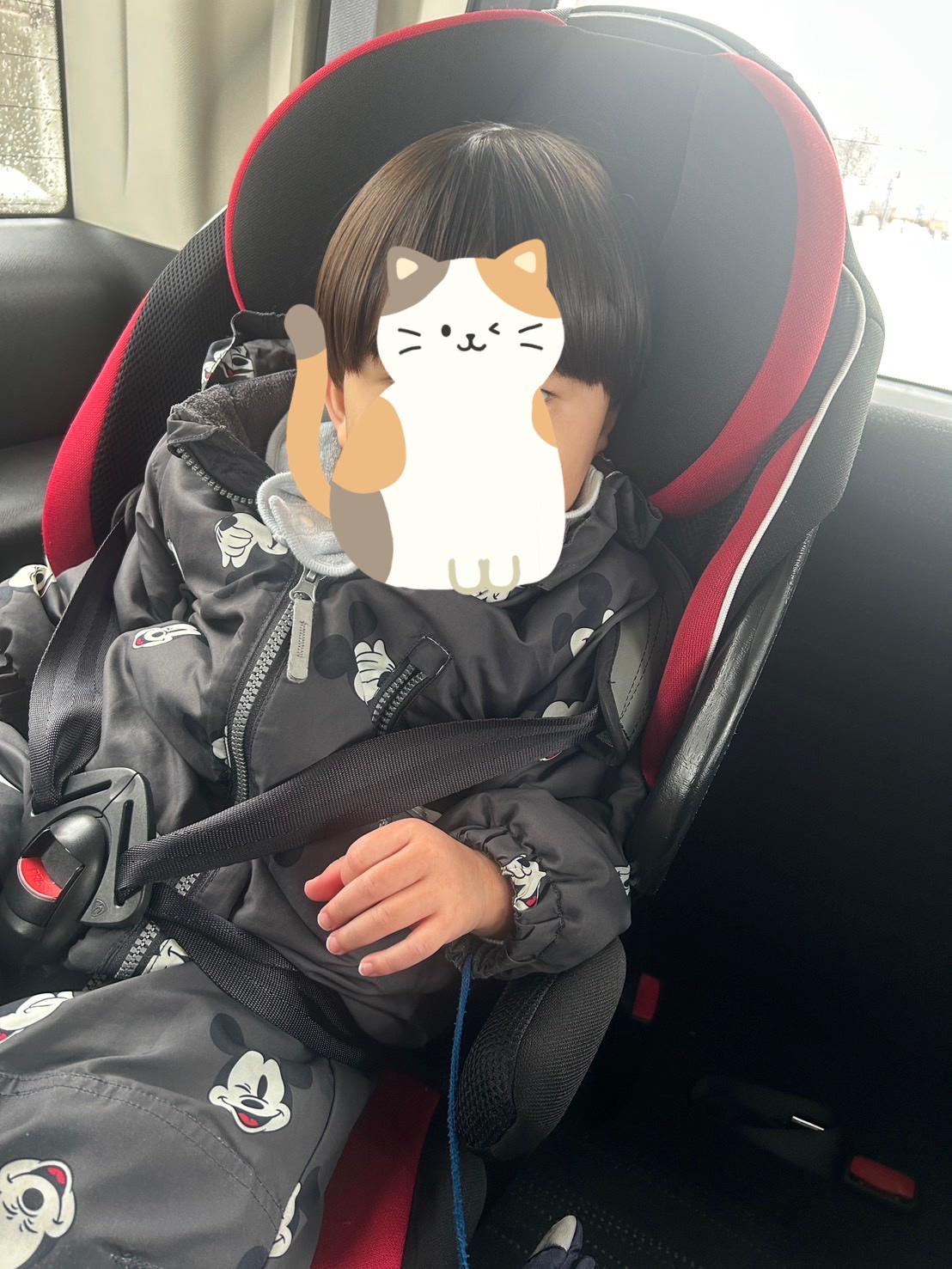 関連画像