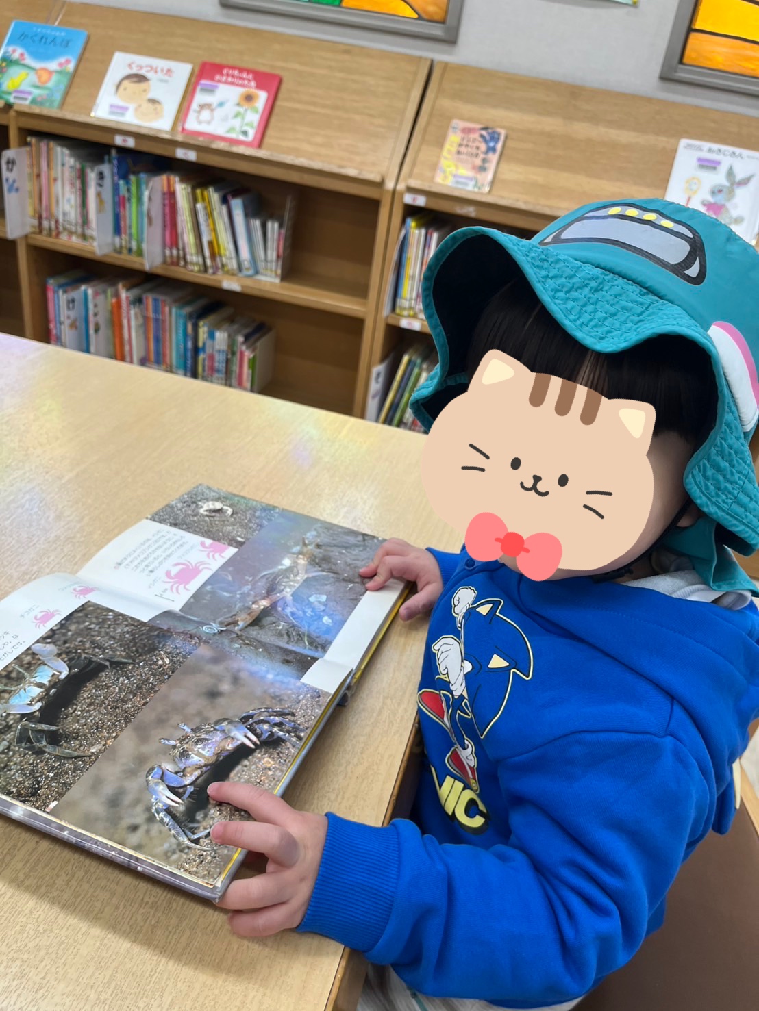 関連画像