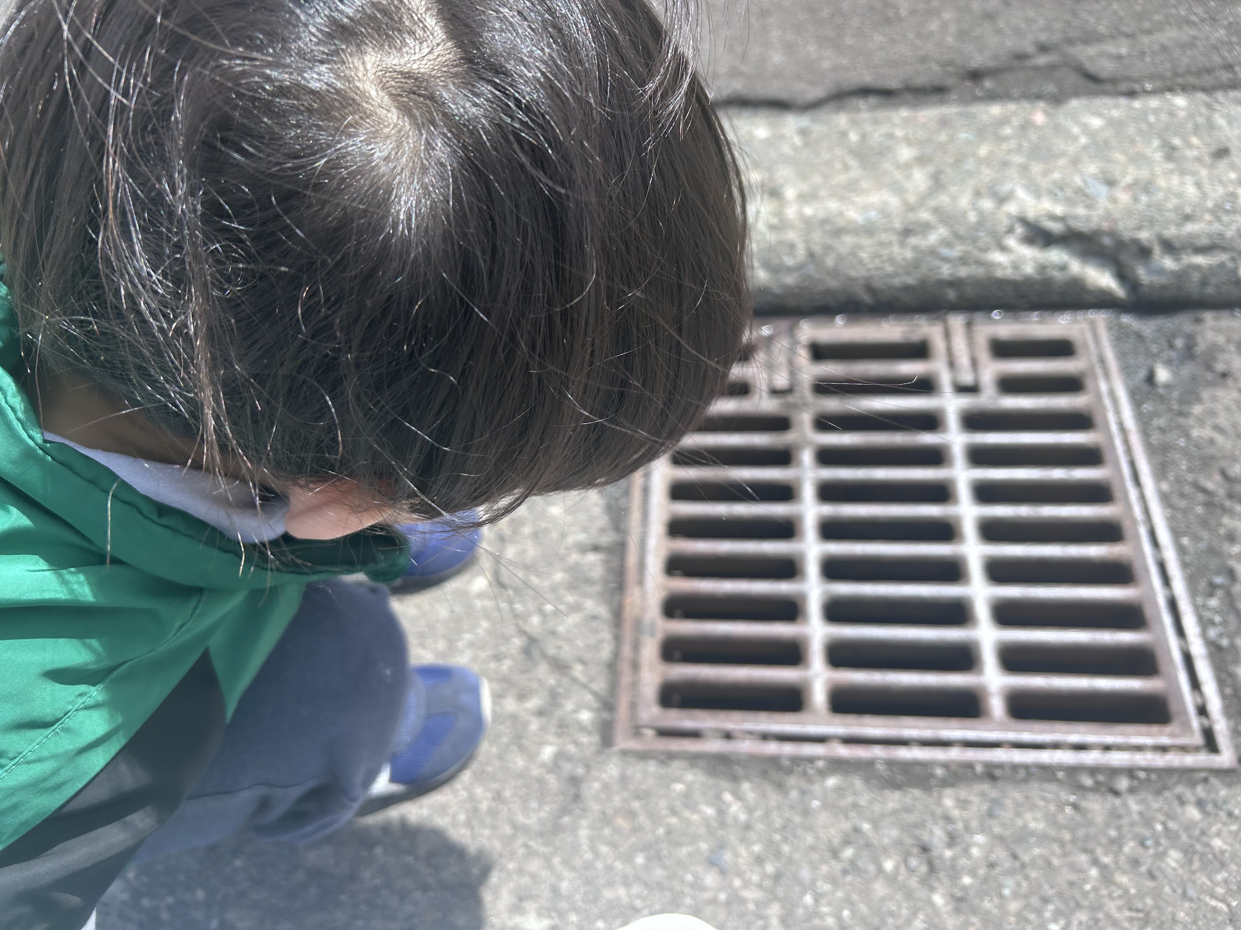 関連画像