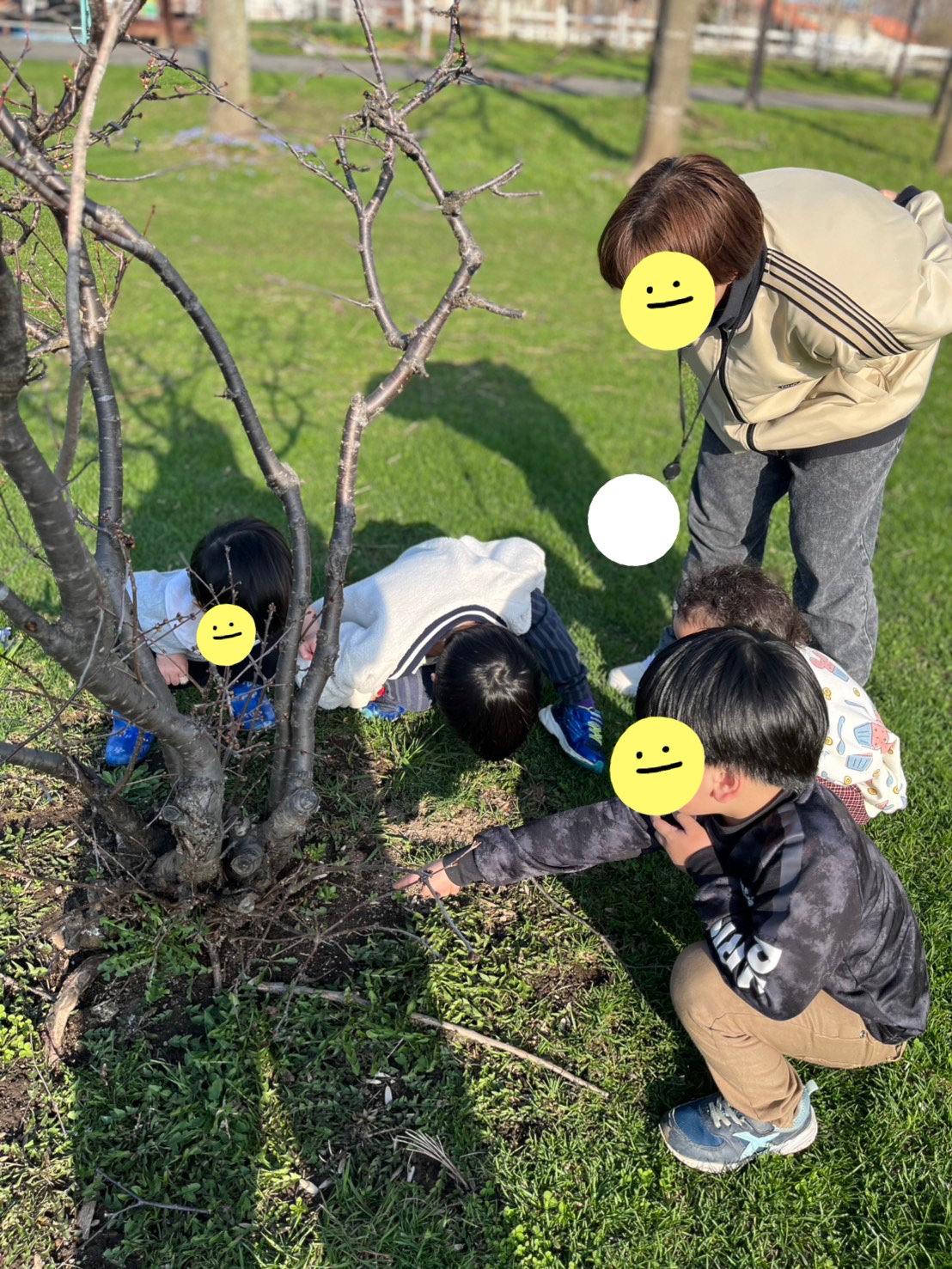関連画像