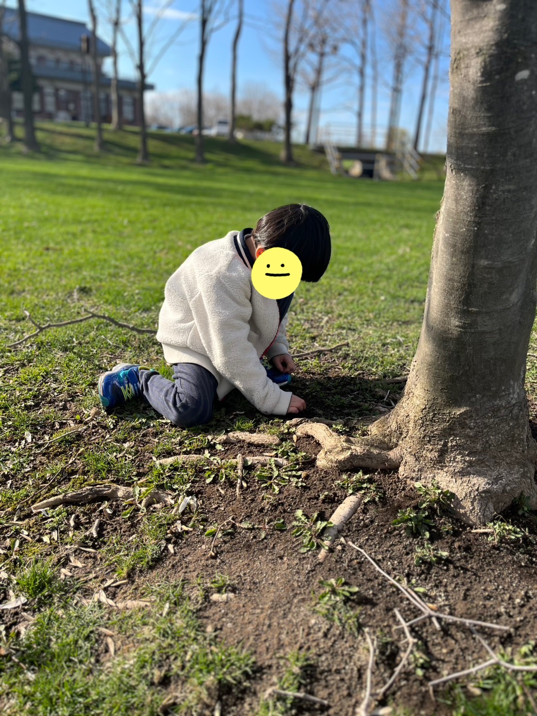 関連画像