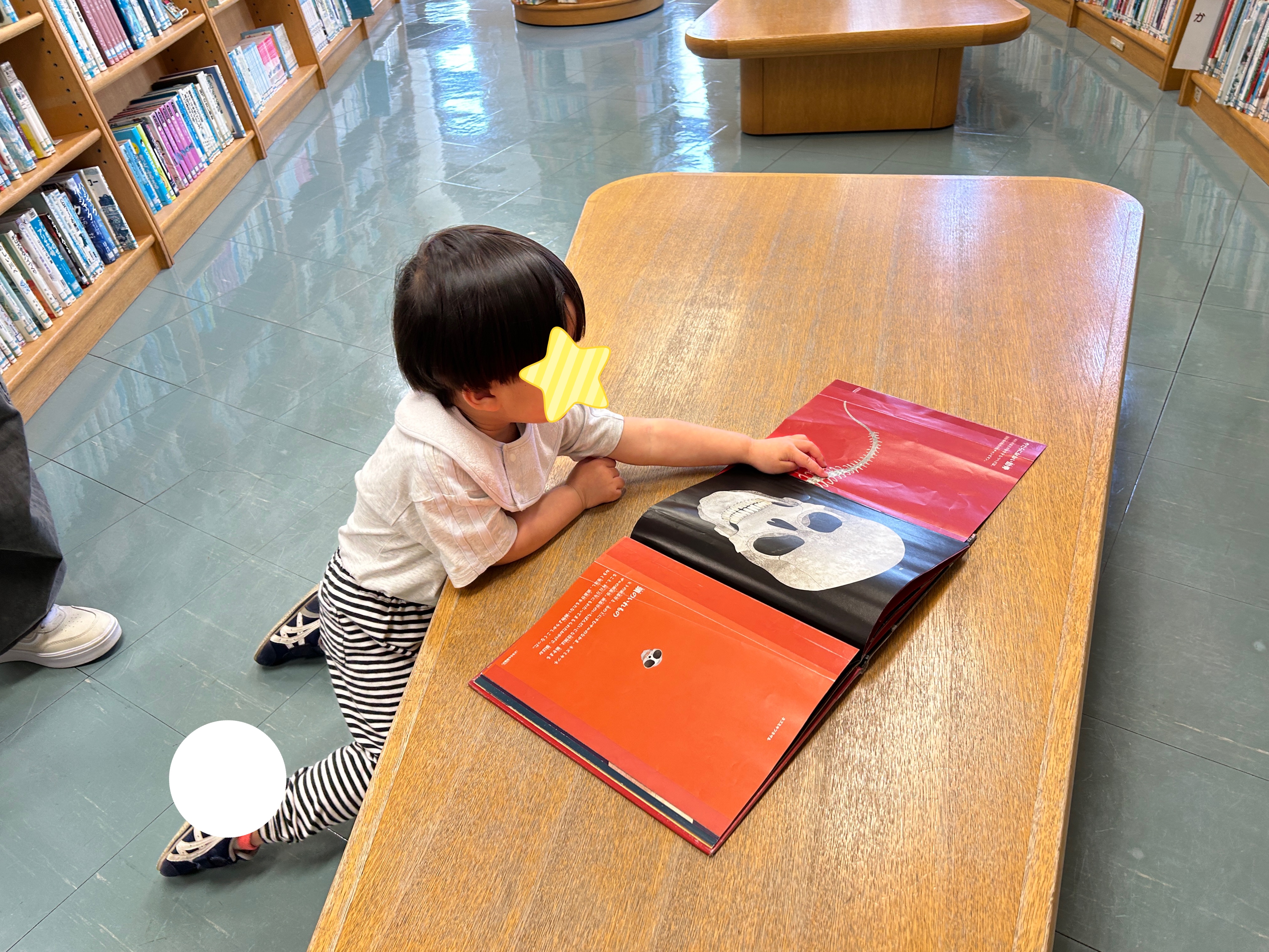 関連画像