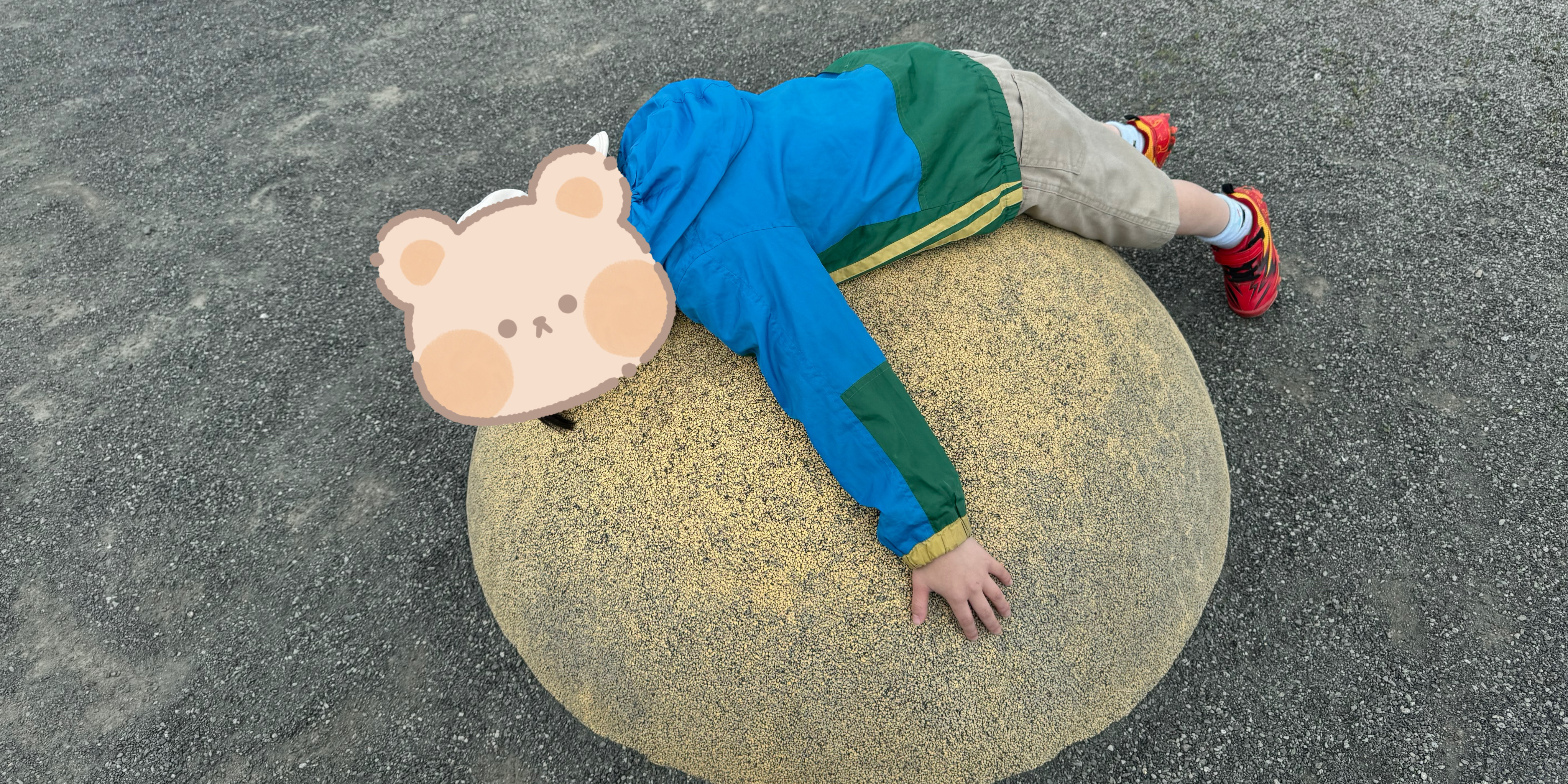 関連画像