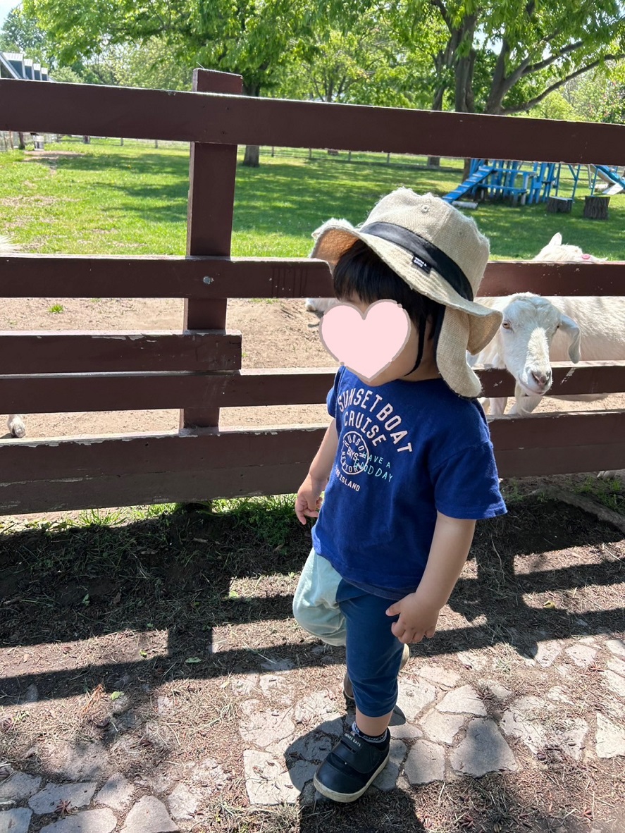 関連画像