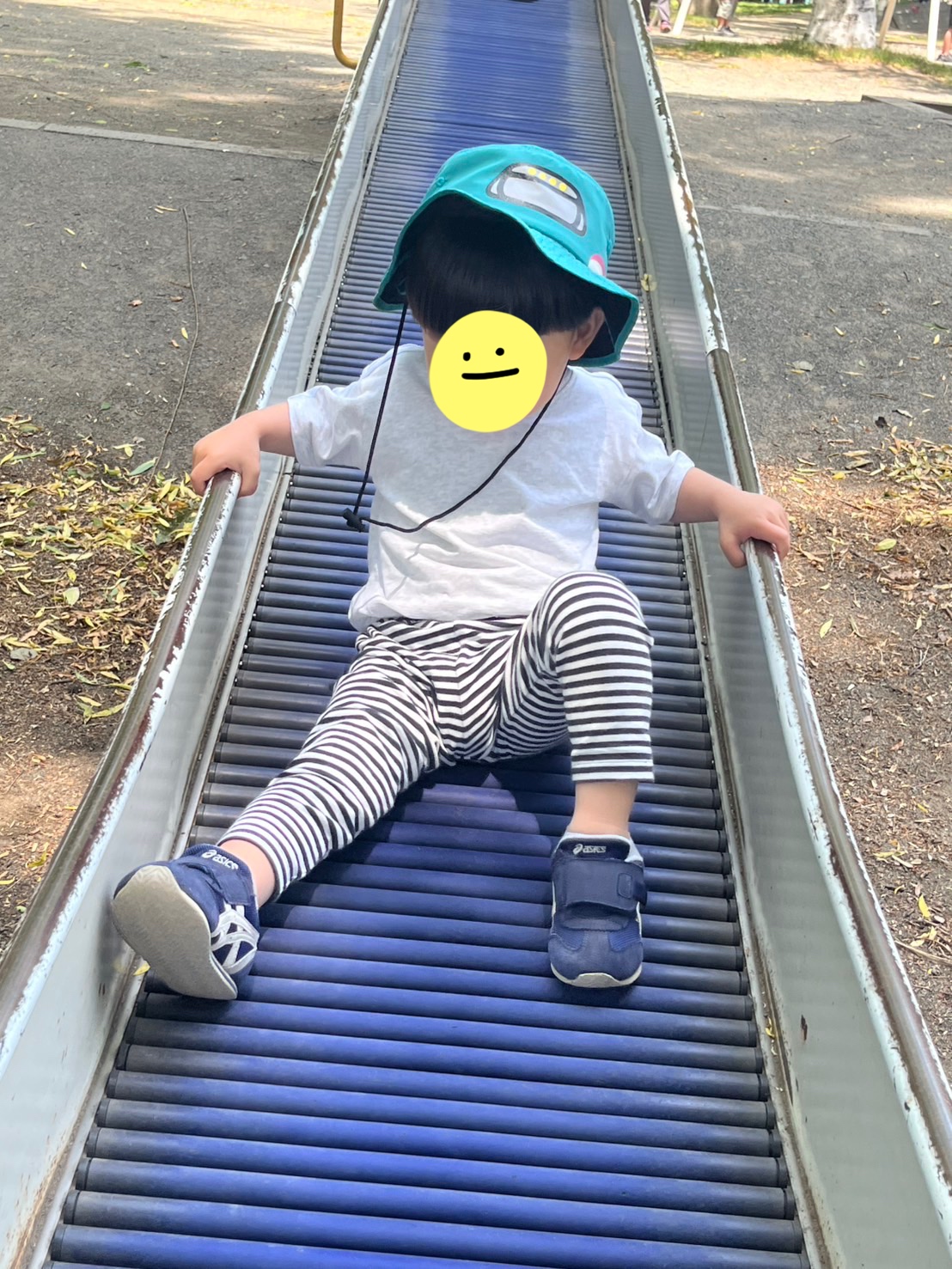 関連画像