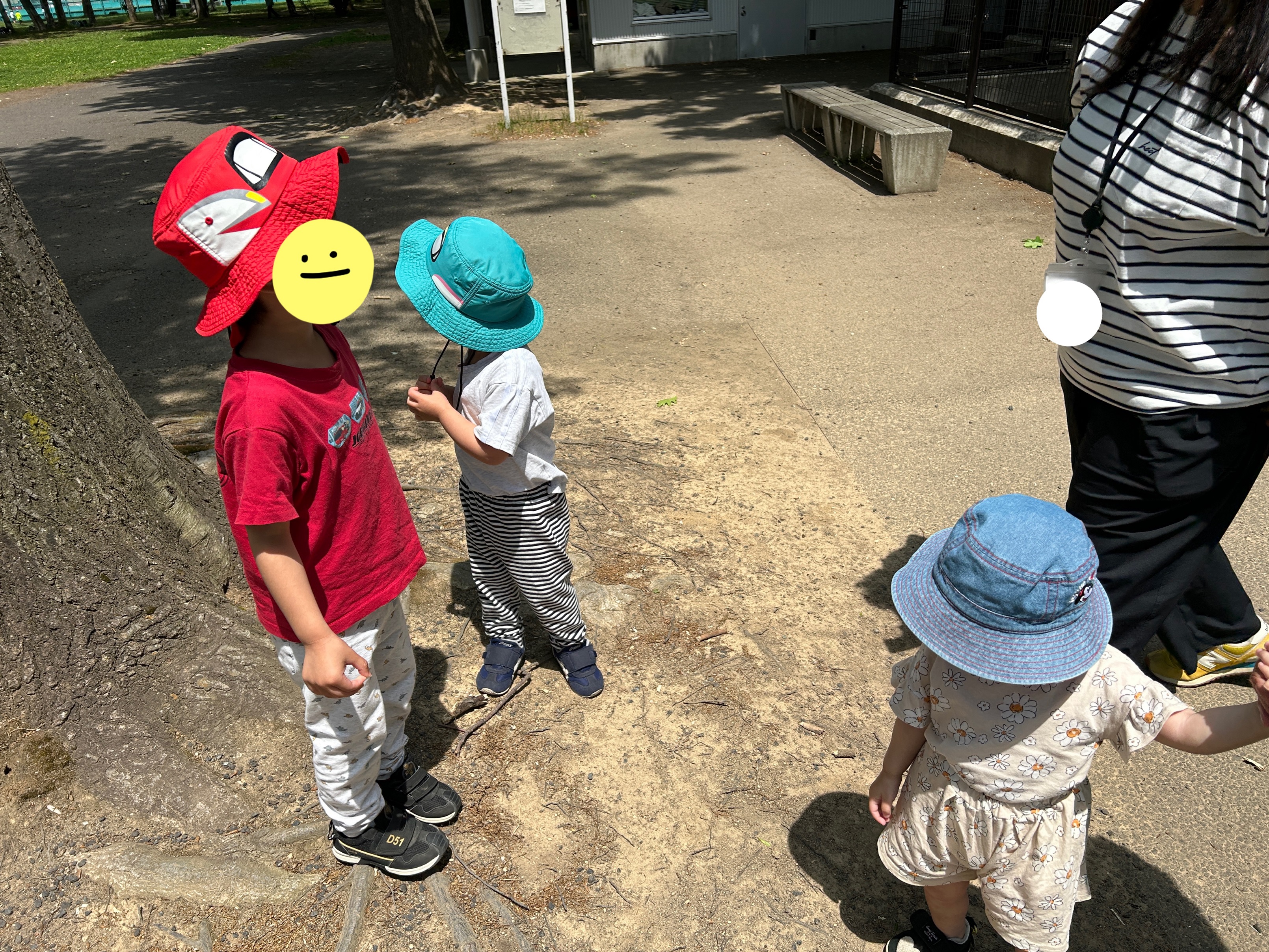 関連画像
