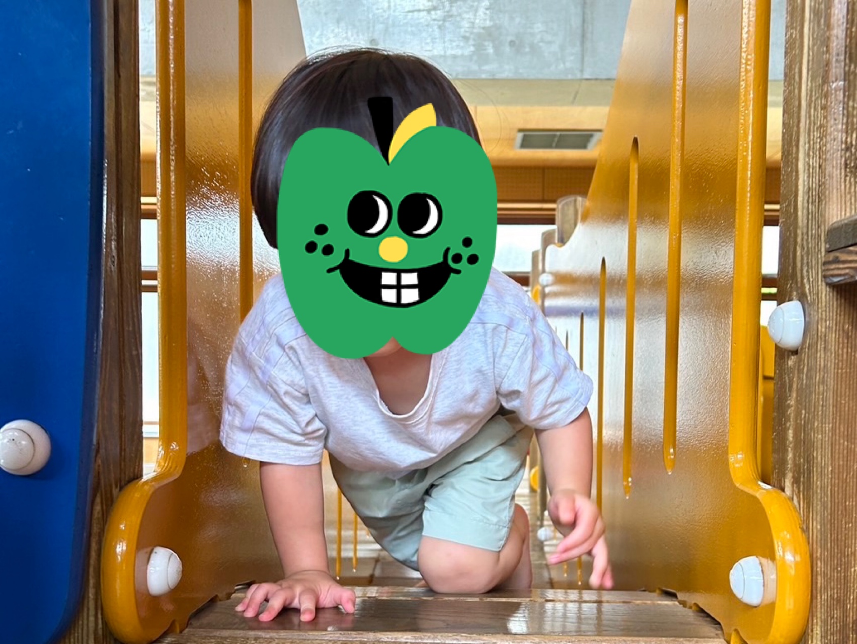 関連画像
