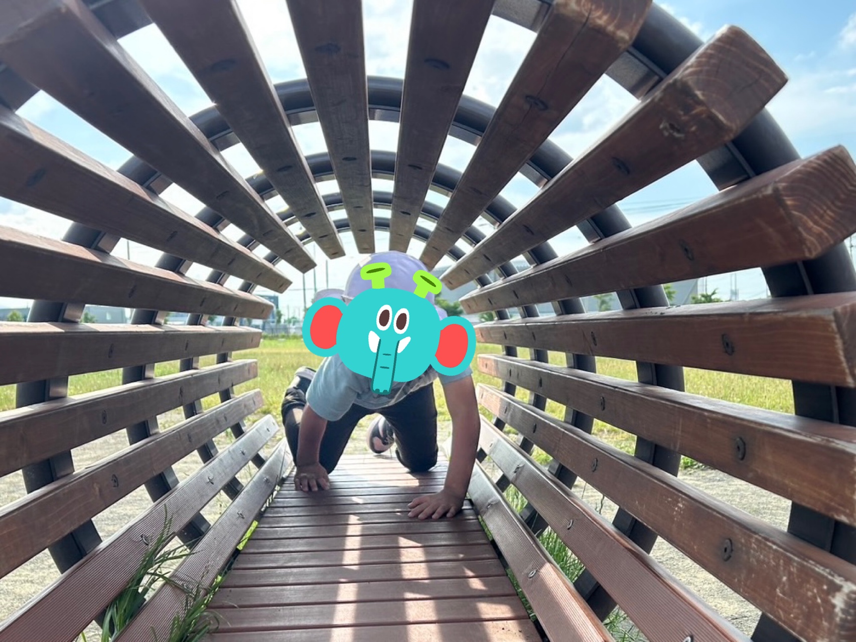 関連画像