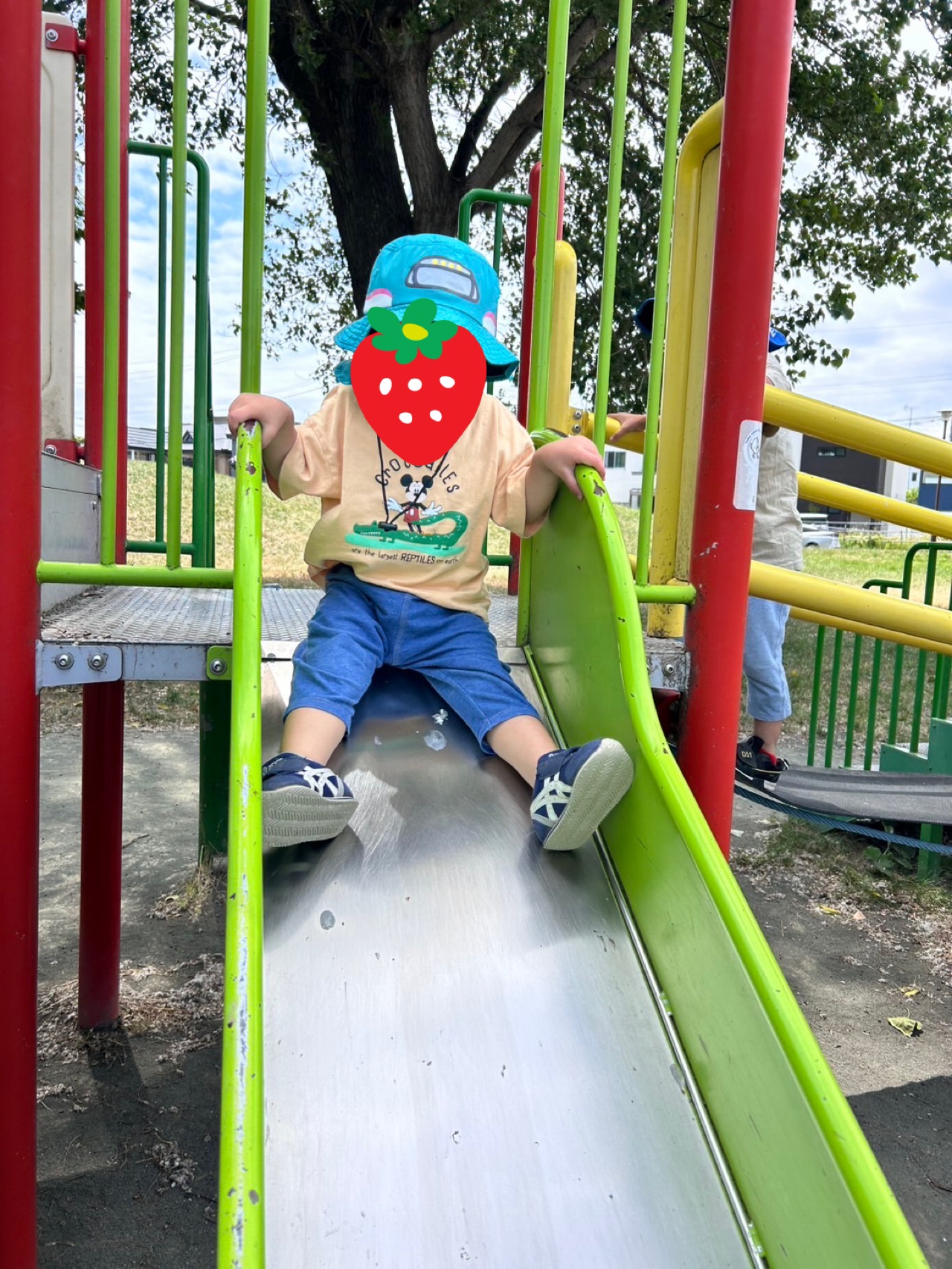 関連画像