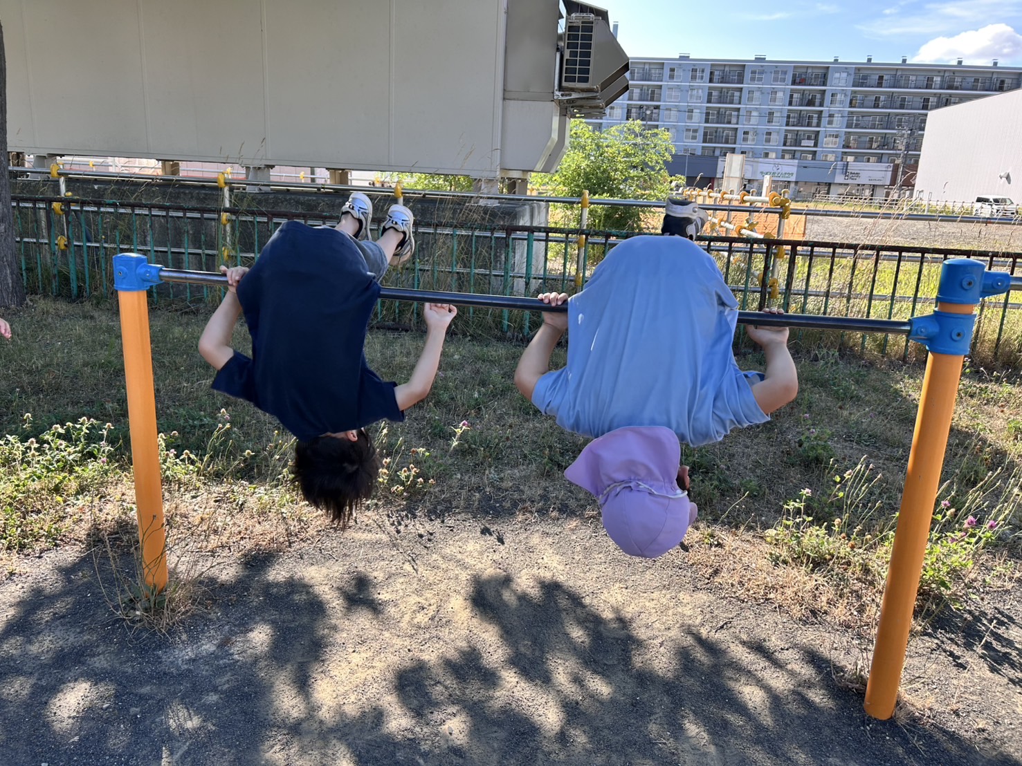 関連画像