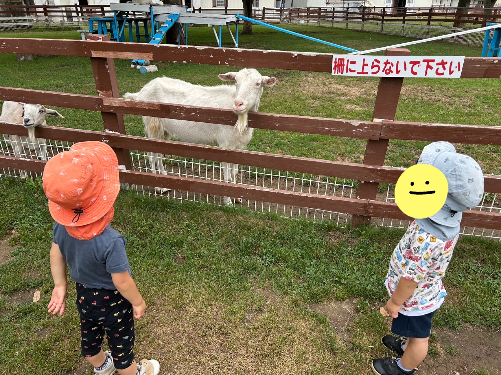 関連画像