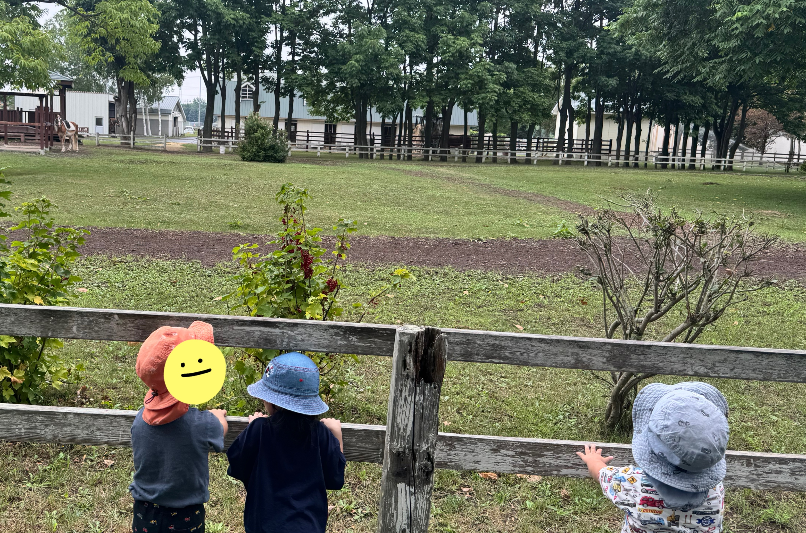 関連画像