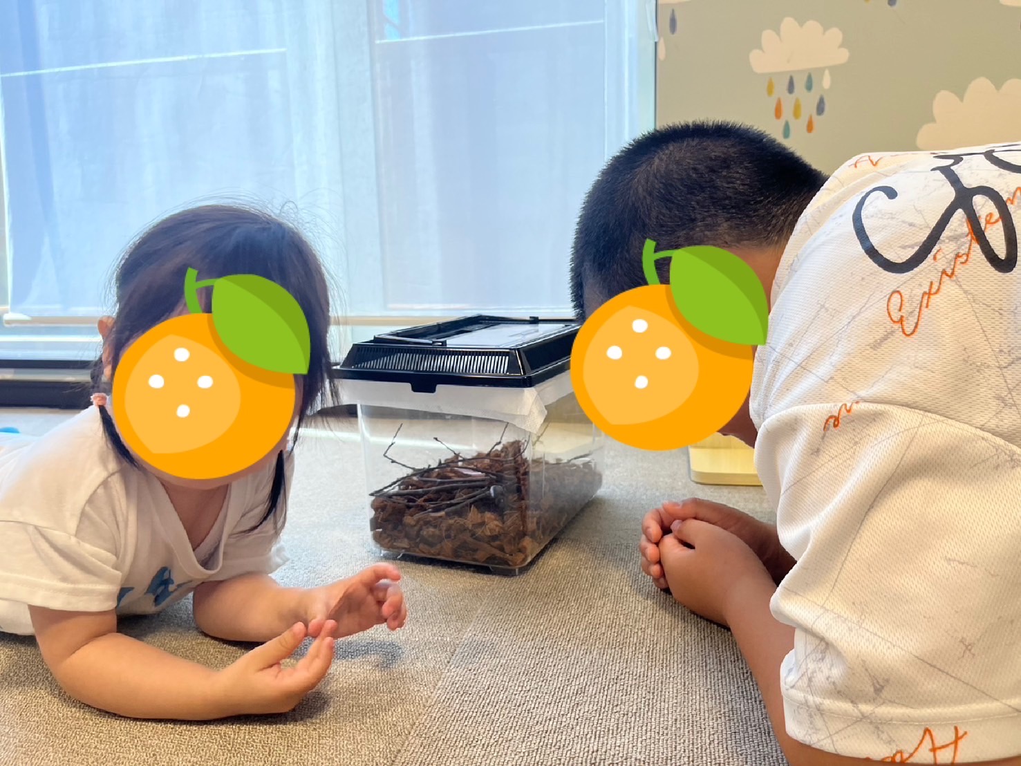関連画像