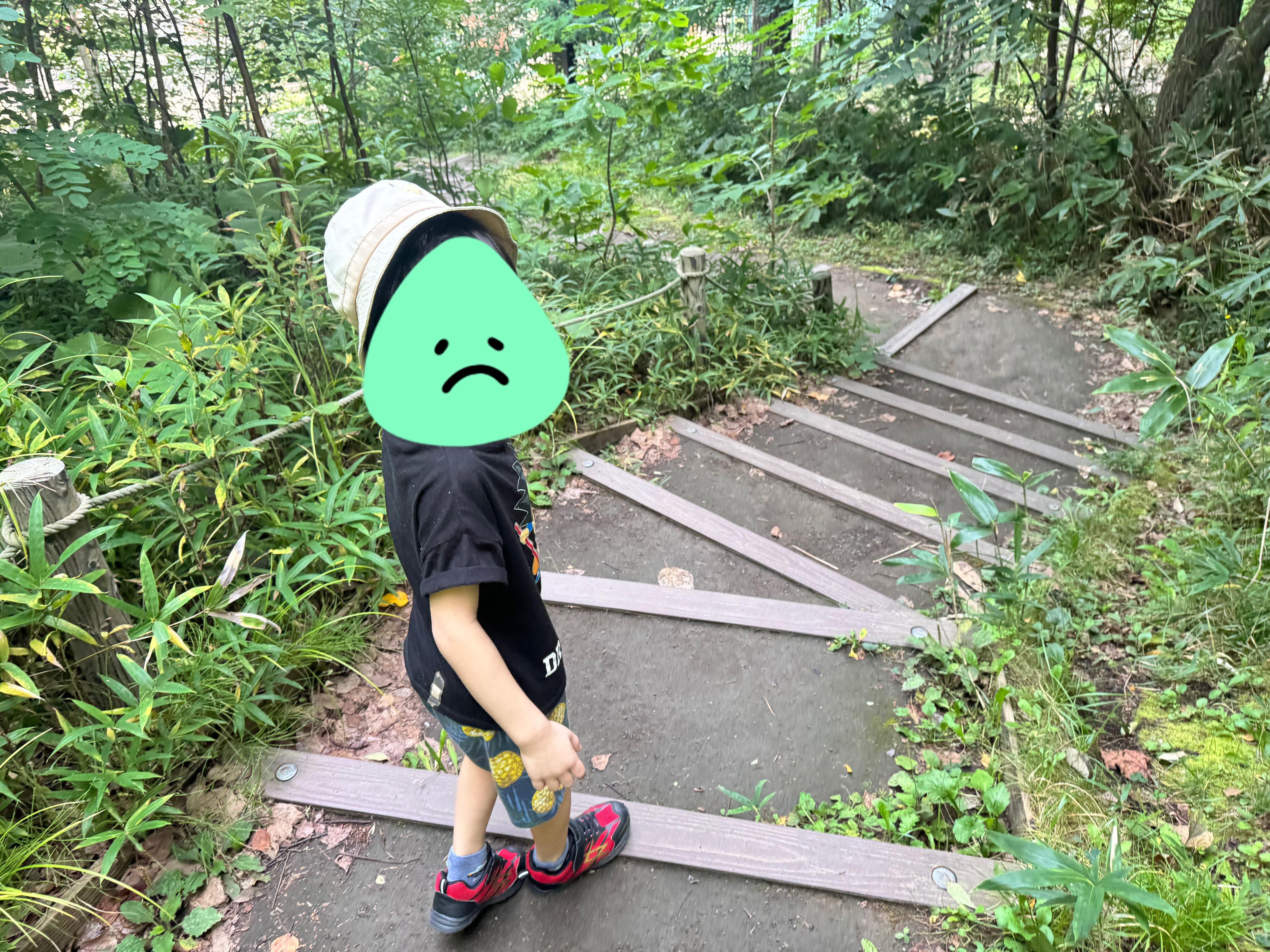 関連画像