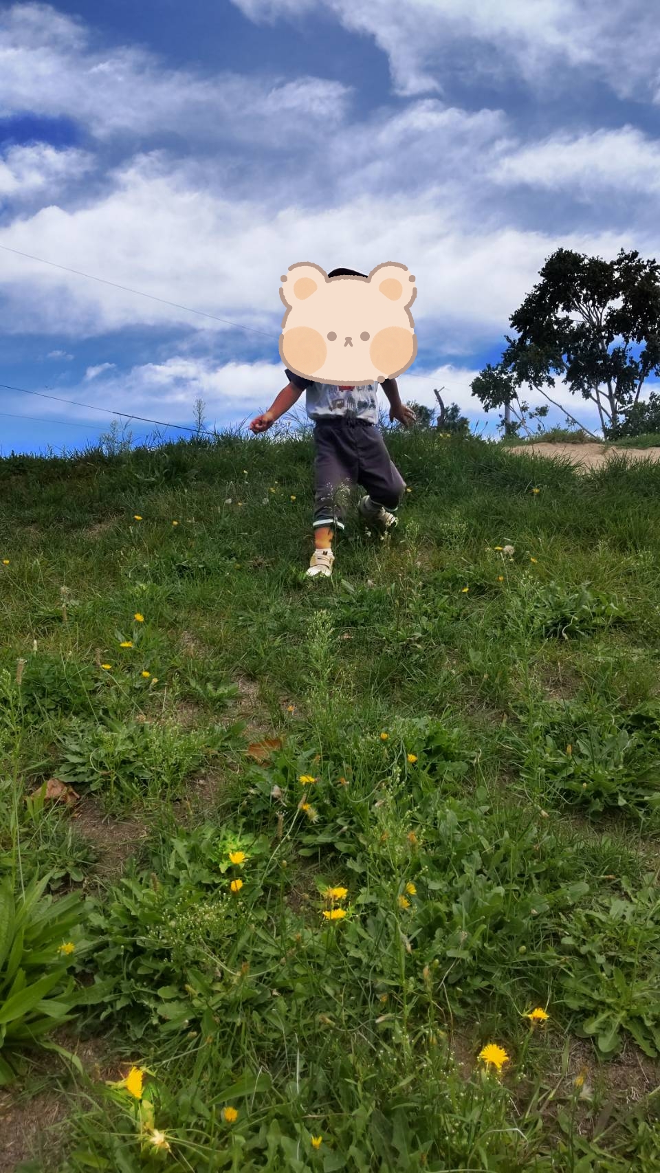 関連画像