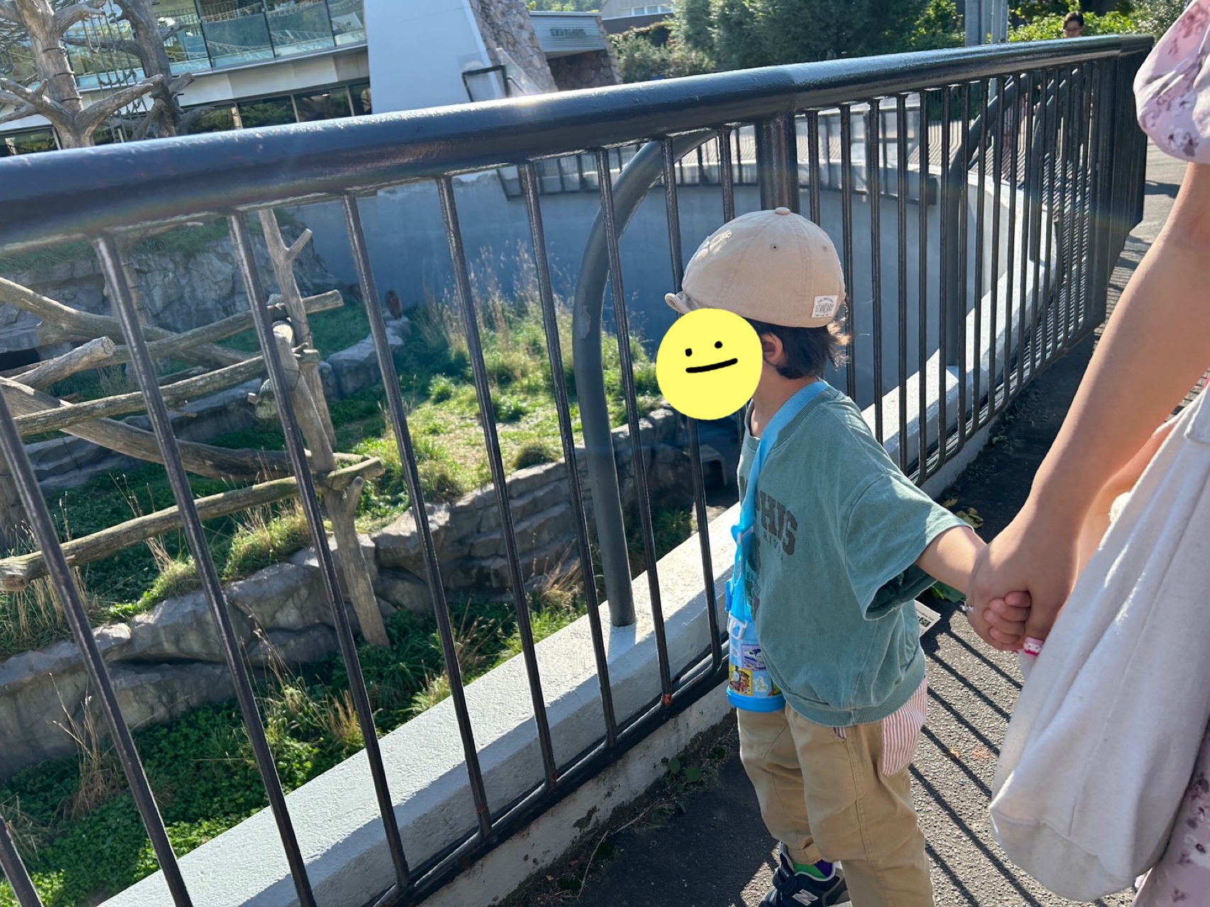 関連画像