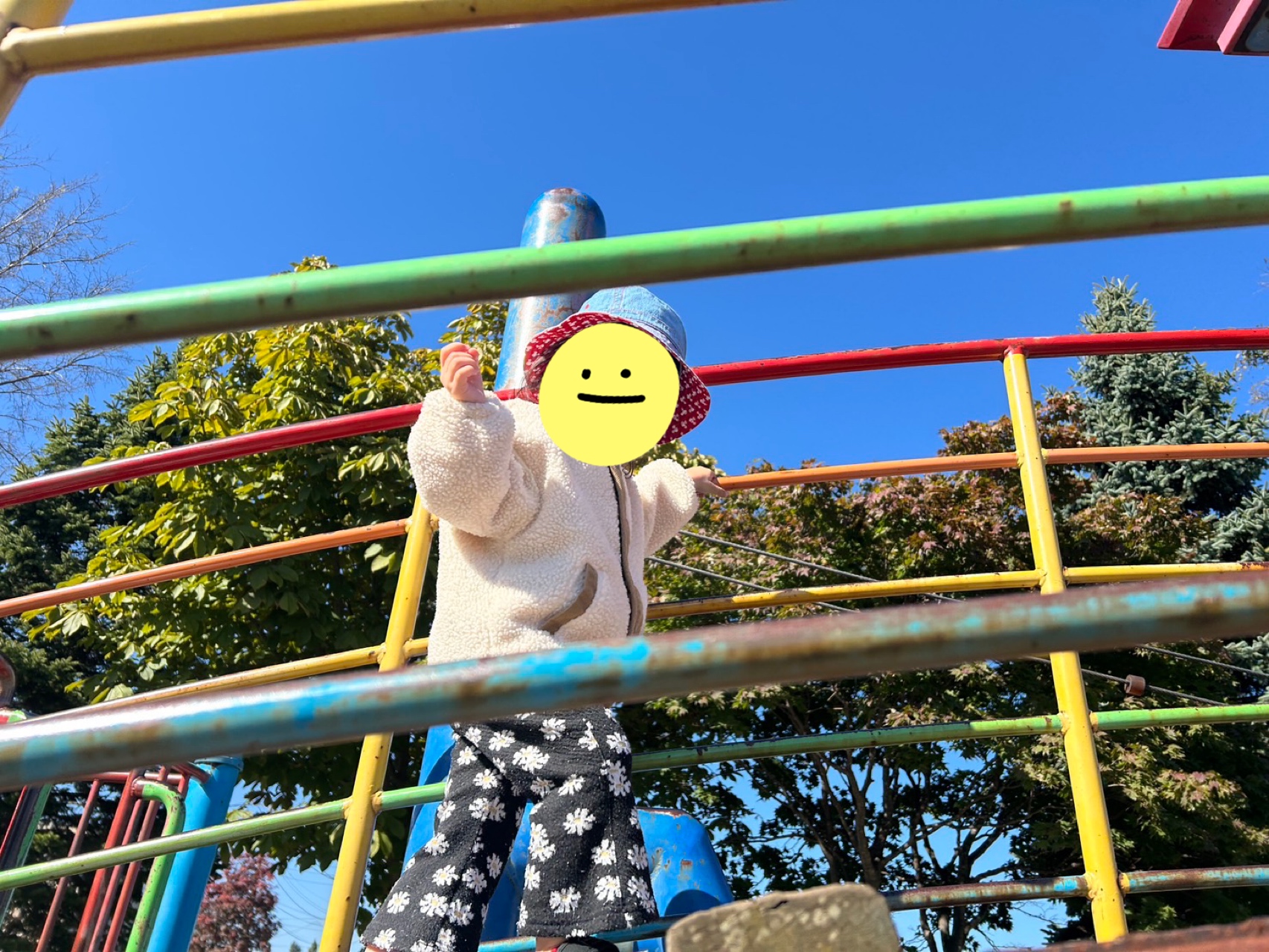 関連画像