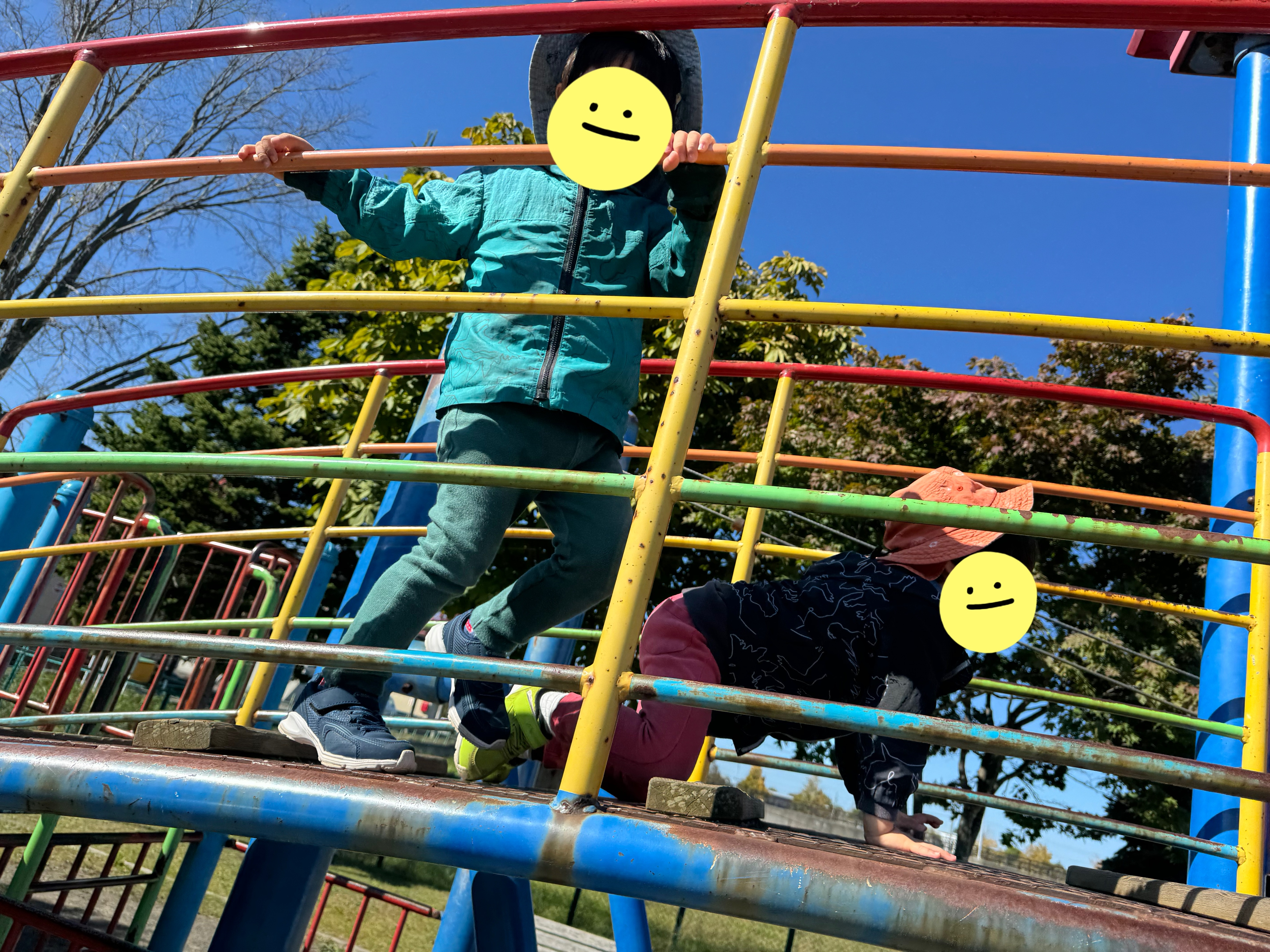 関連画像