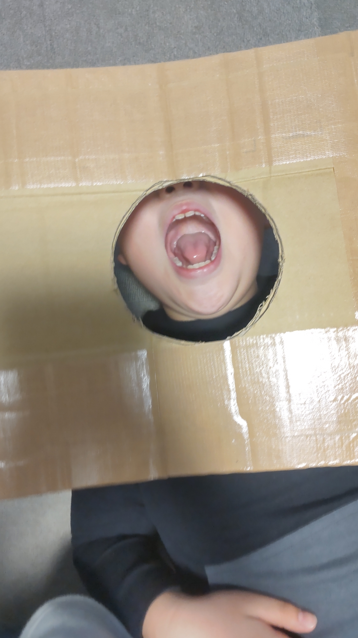 関連画像