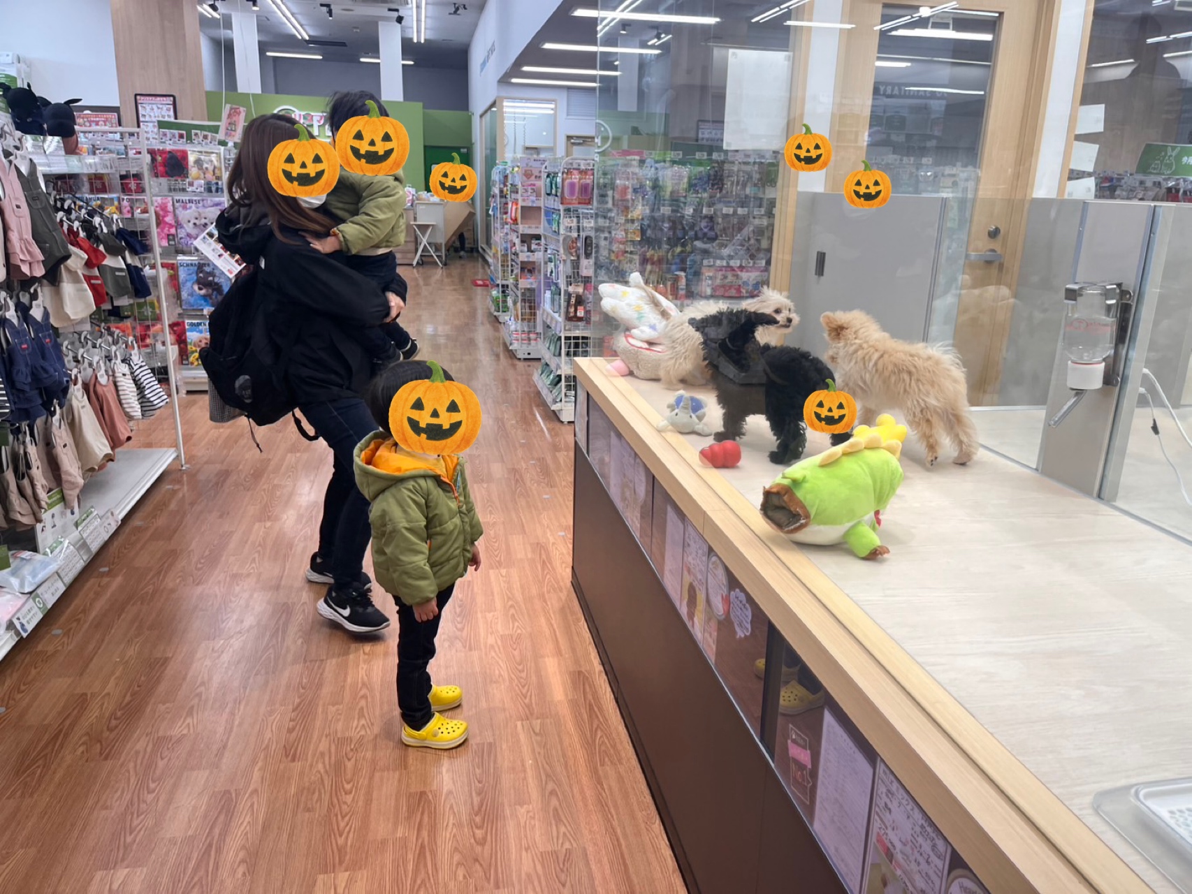 関連画像