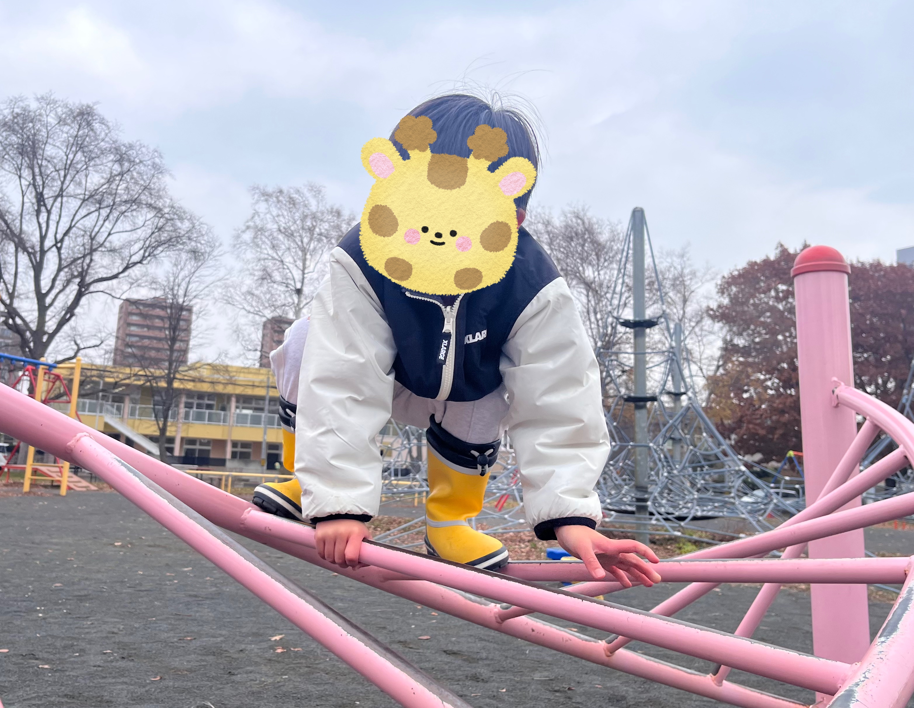 関連画像