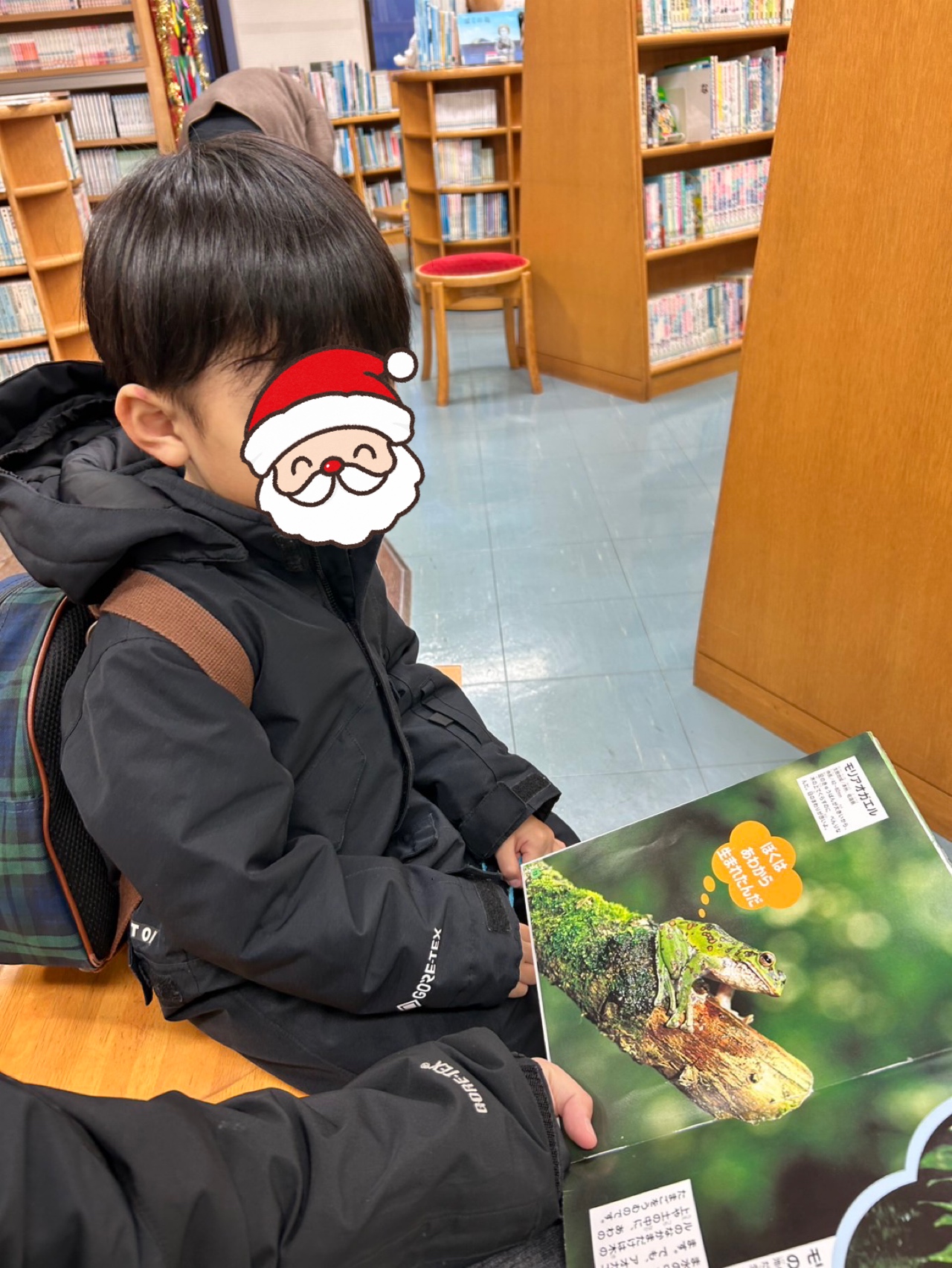 関連画像