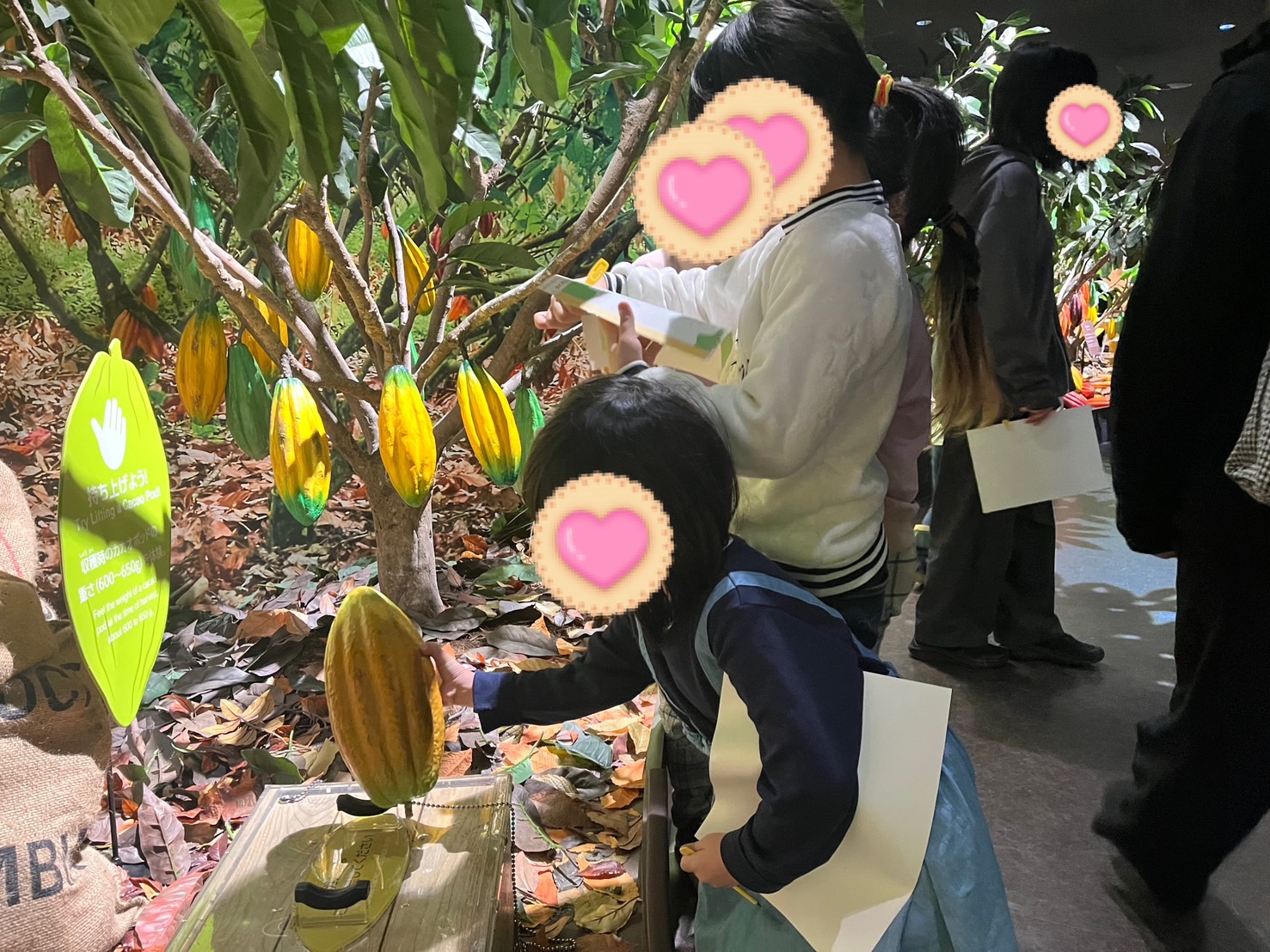 関連画像