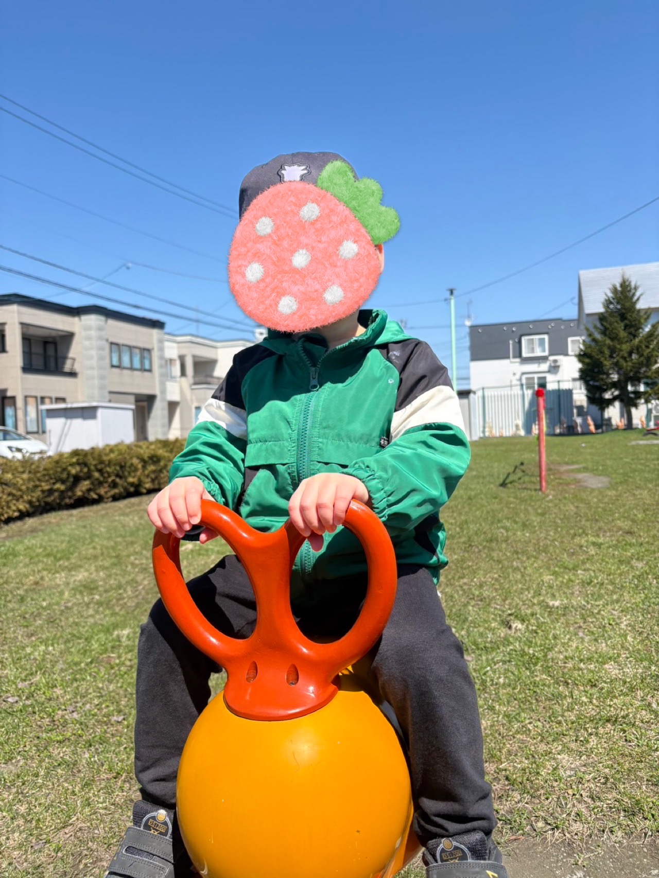 関連画像