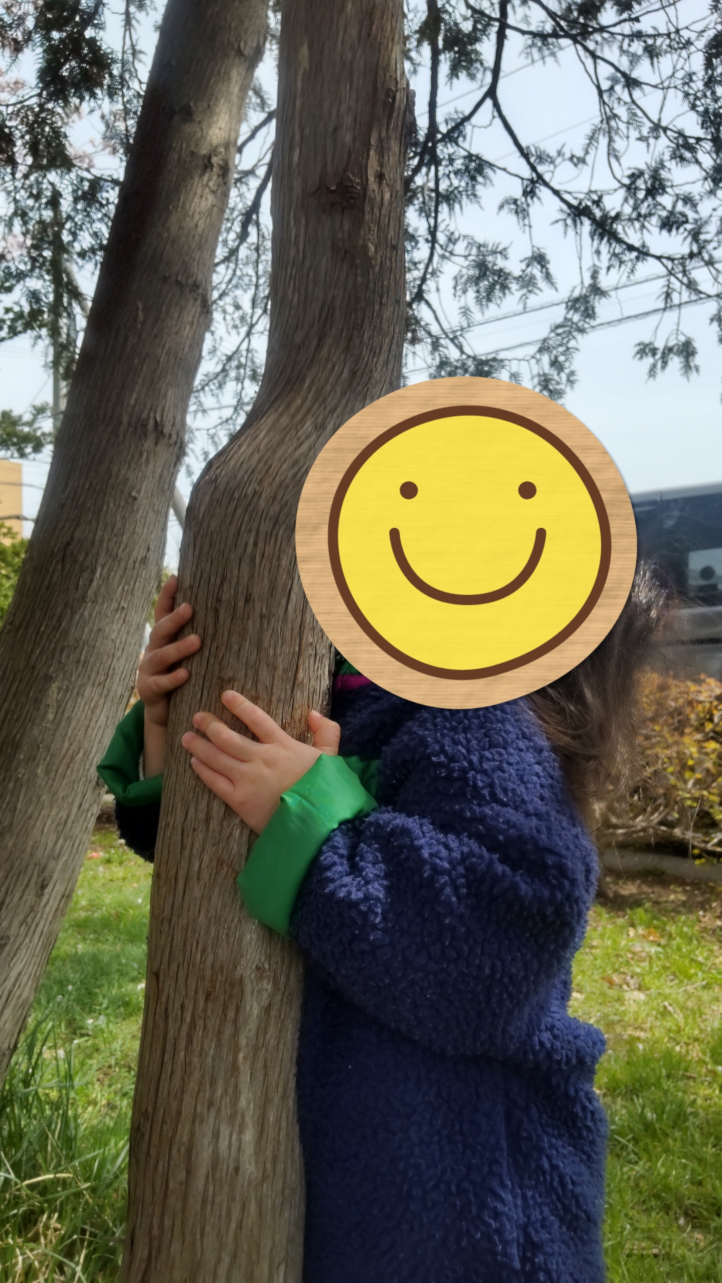 関連画像