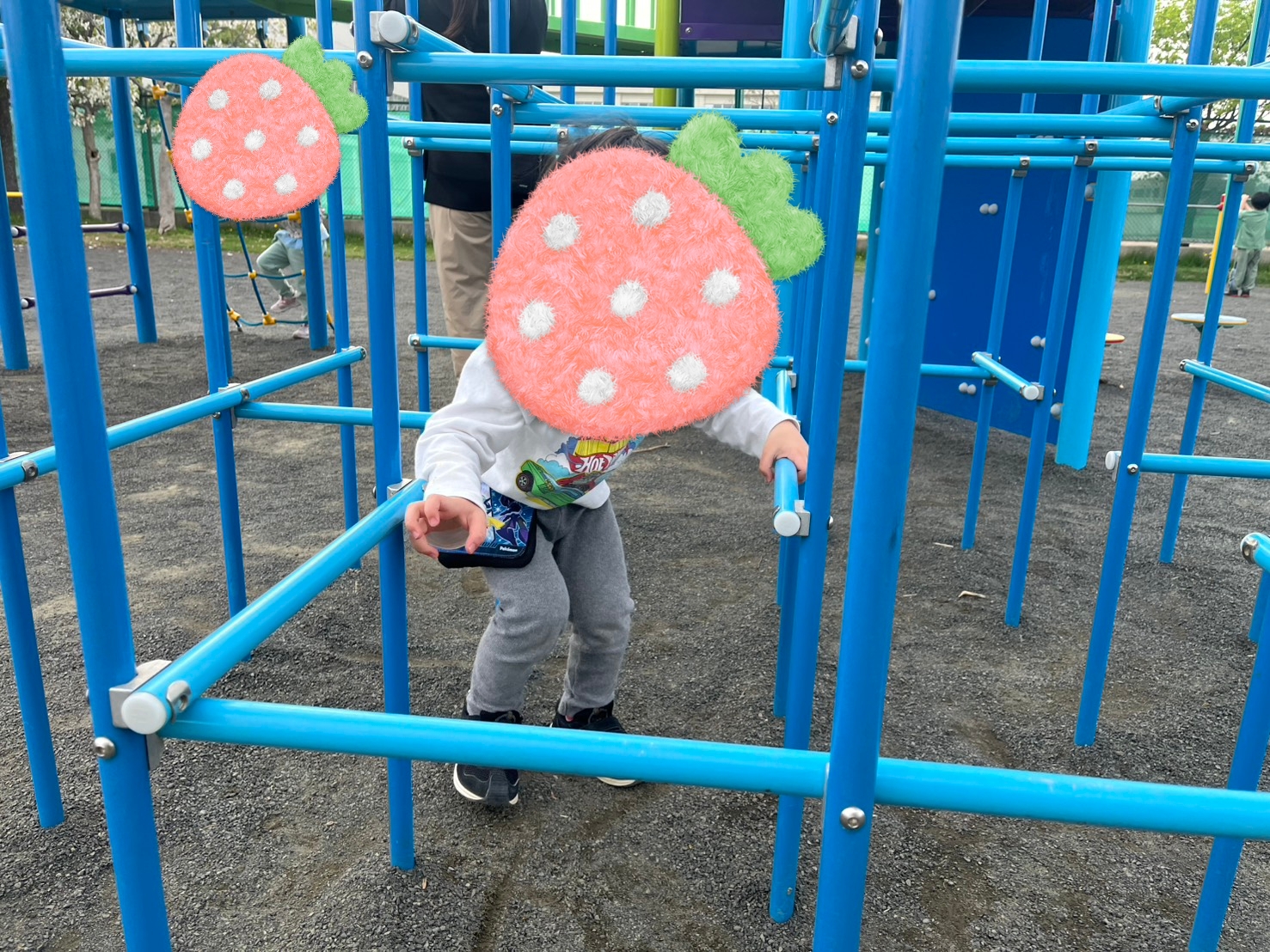 関連画像