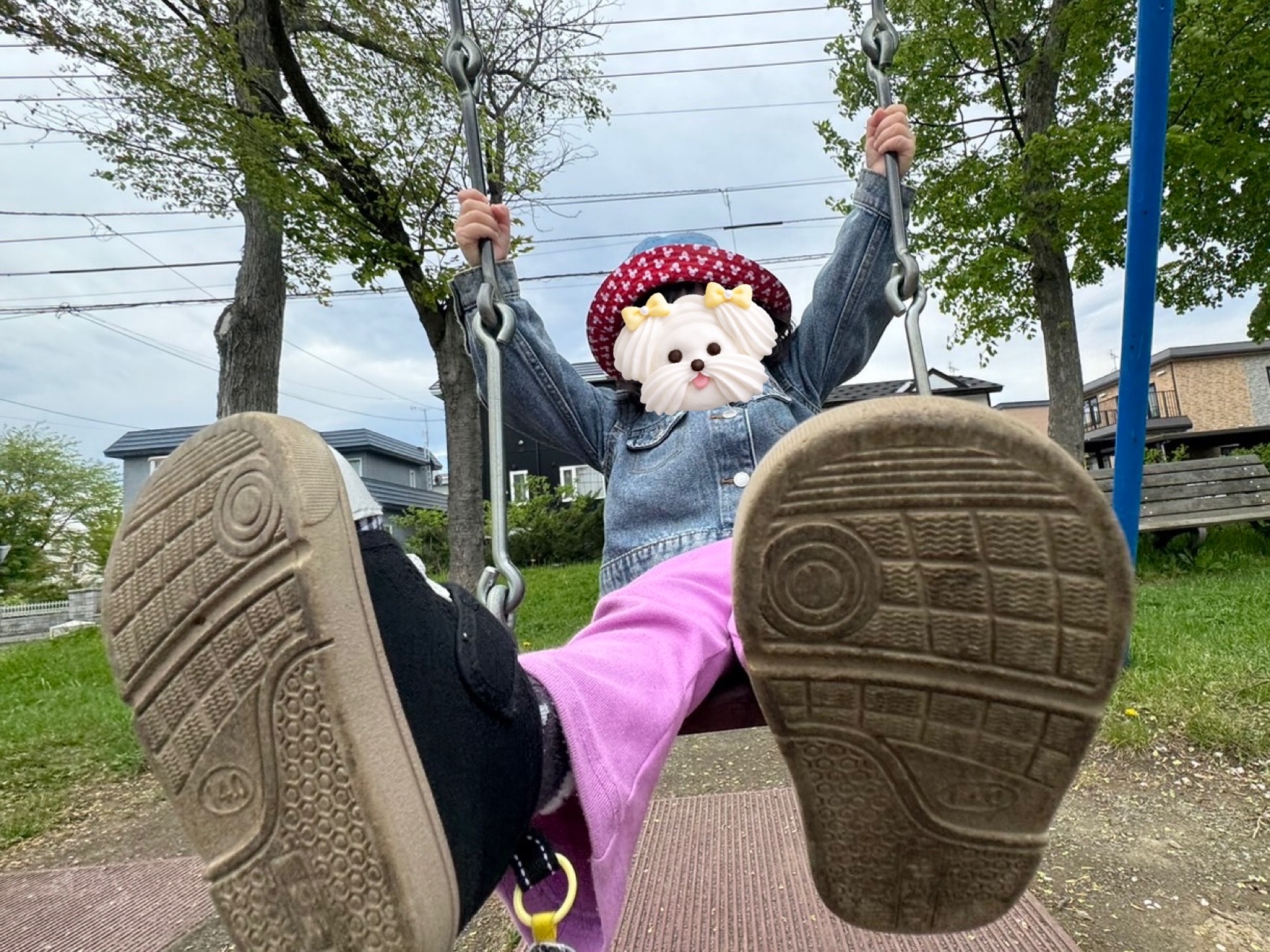 関連画像